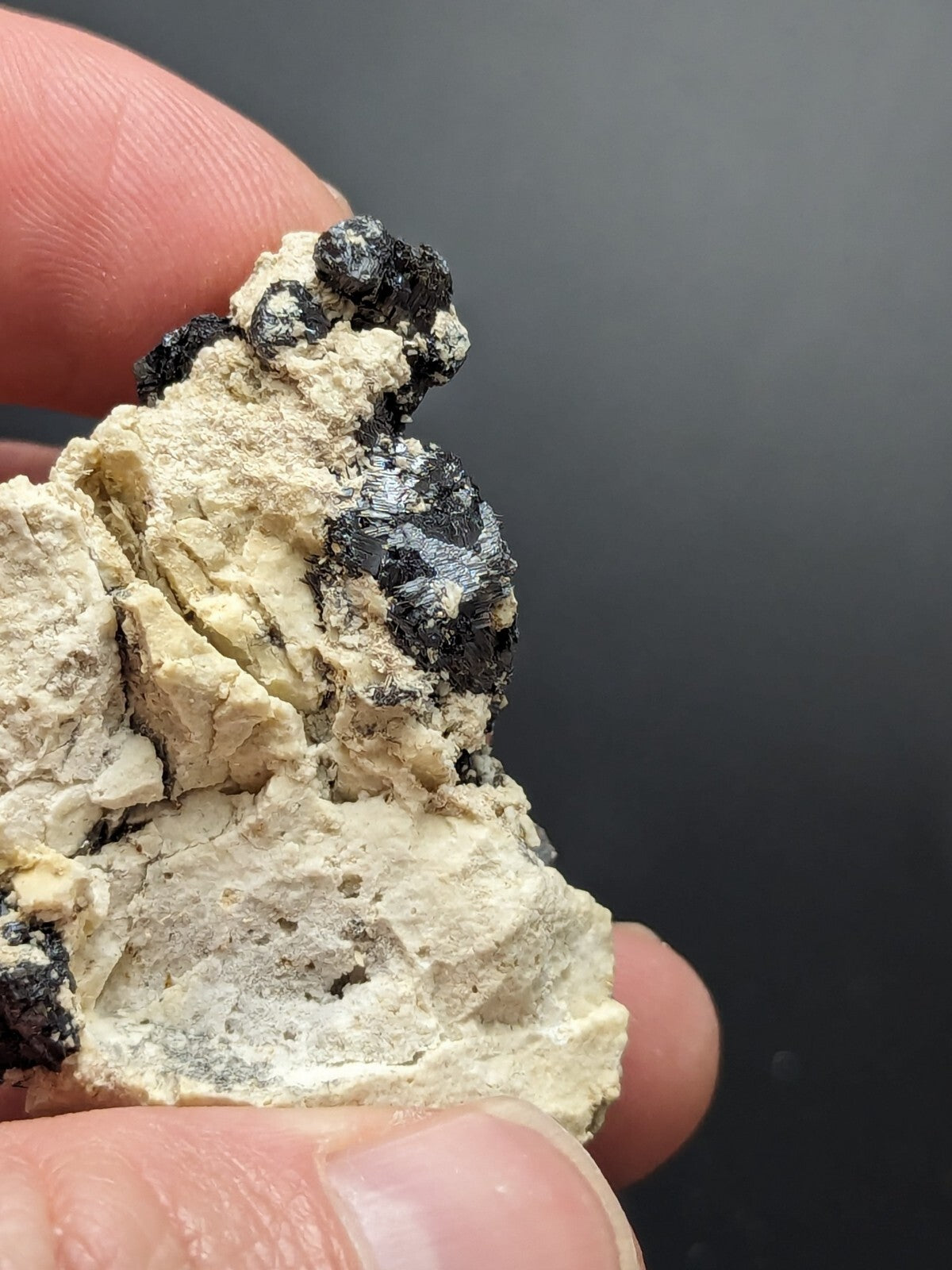 A hand holds a mineral specimen featuring dark, glossy black crystals embedded in a light beige, textured matrix.