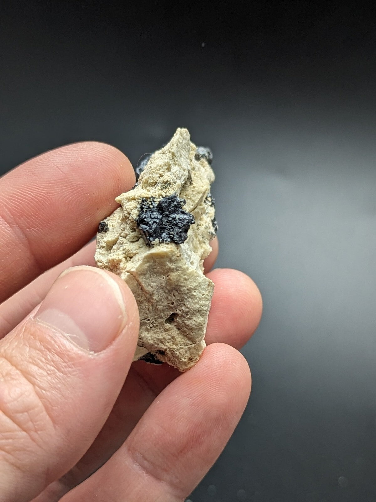 A hand holds a light beige, rough-textured mineral specimen with a prominent dark black crystalline inclusion.