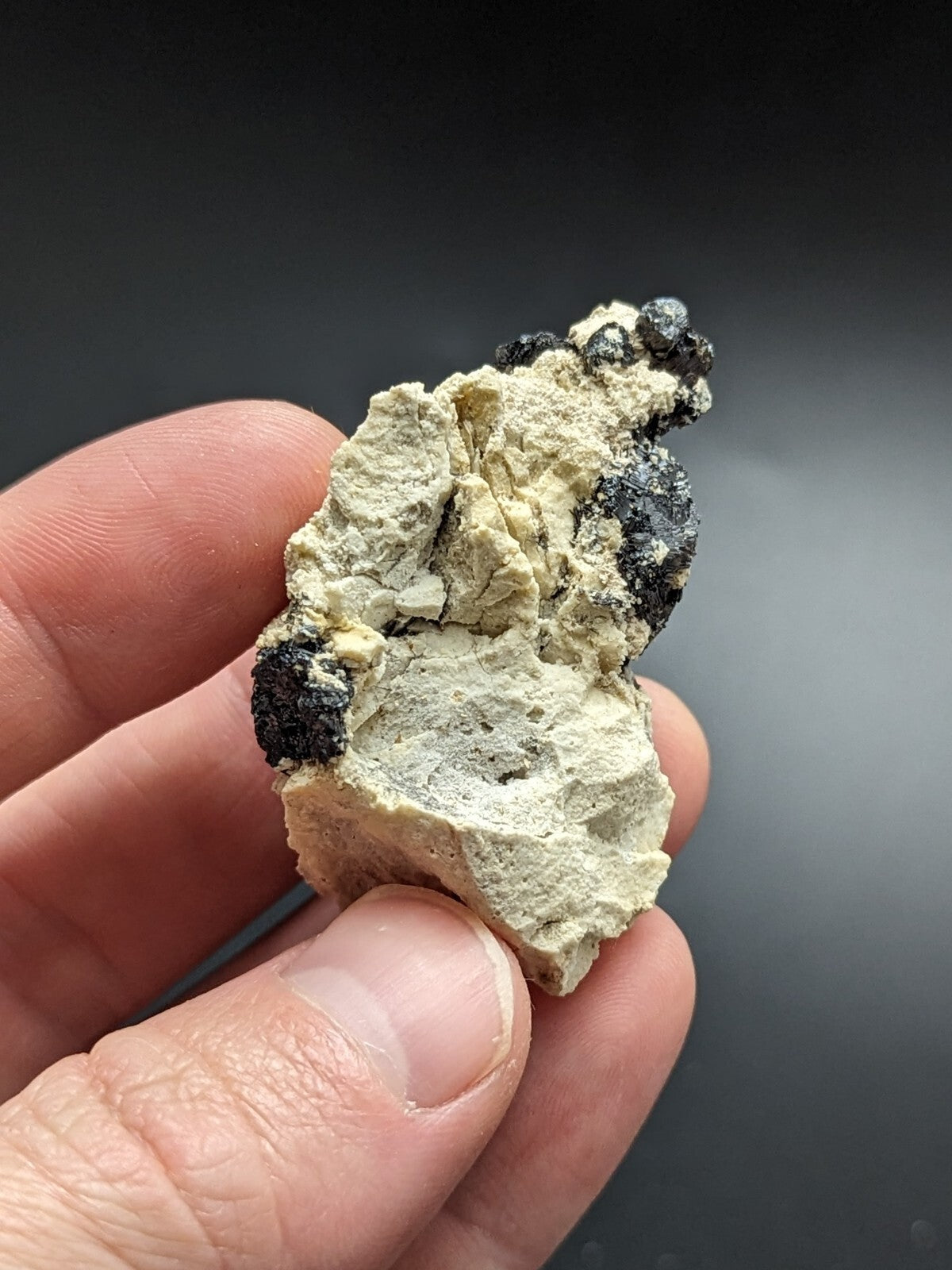 A hand holds a rough, pale yellowish-white rock specimen with dark black mineral clusters and small spherical inclusions.