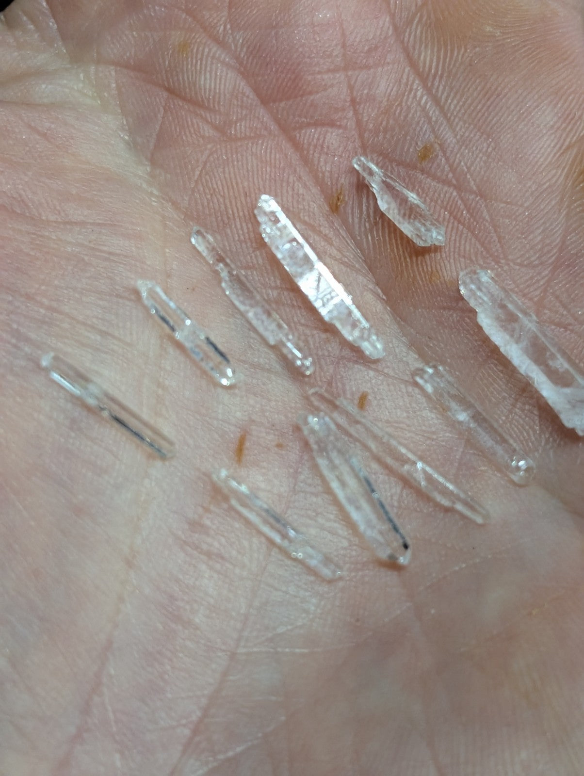 Clear quartz crystals resting in an open palm.