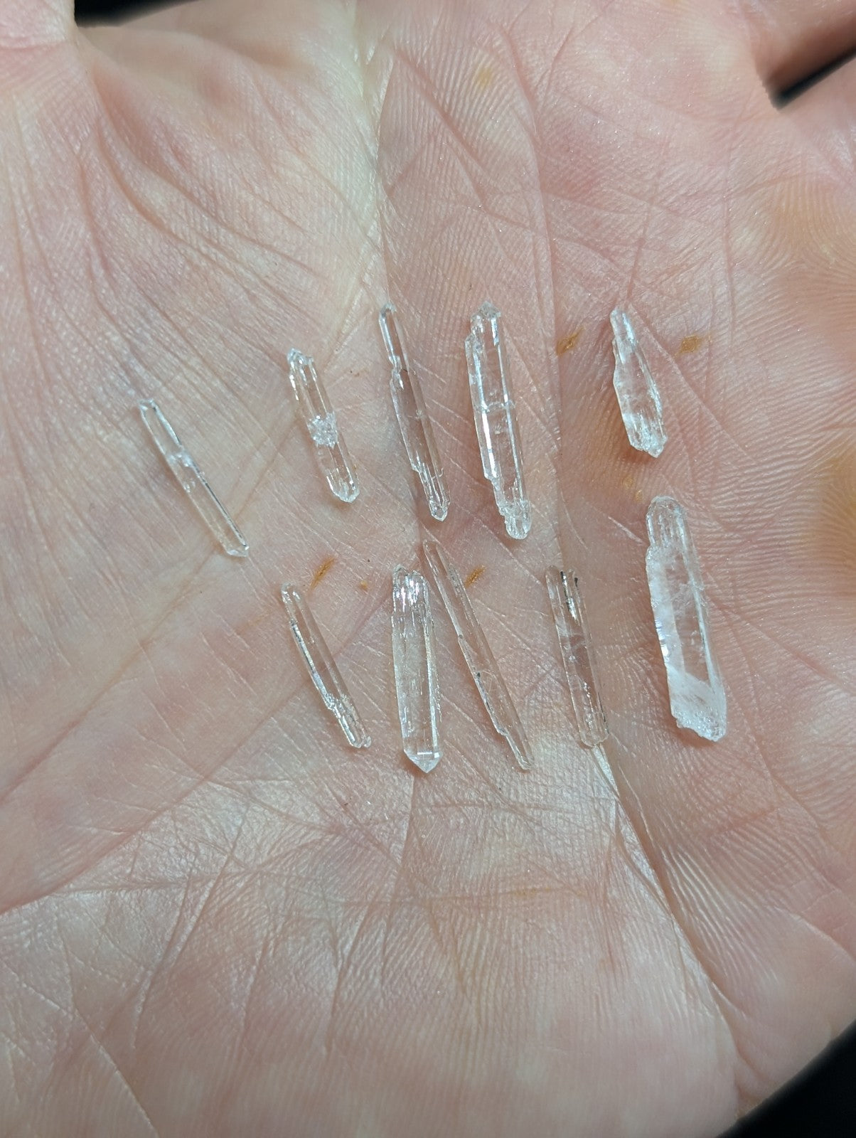 Clear quartz crystals of varying lengths and shapes, some with pointed tips and others more elongated.