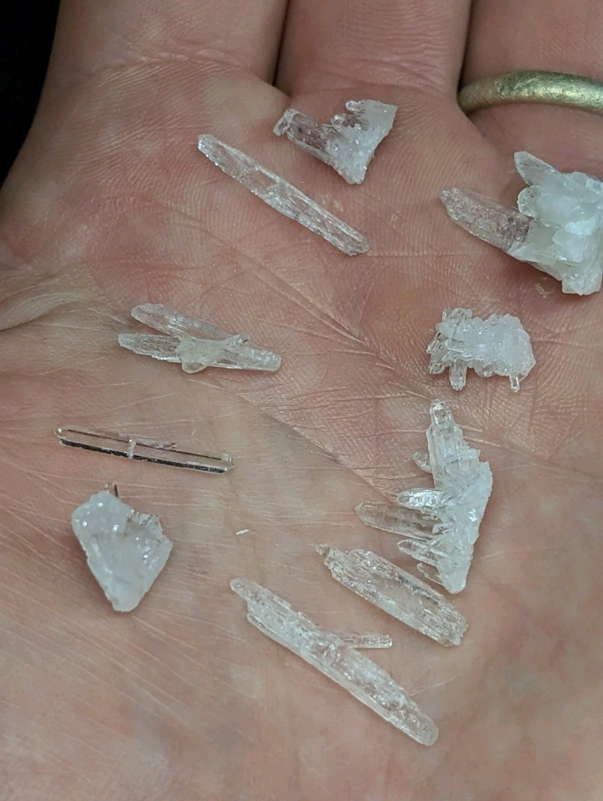 A hand holds a collection of translucent, crystalline quartz specimens with varying shapes and sizes.