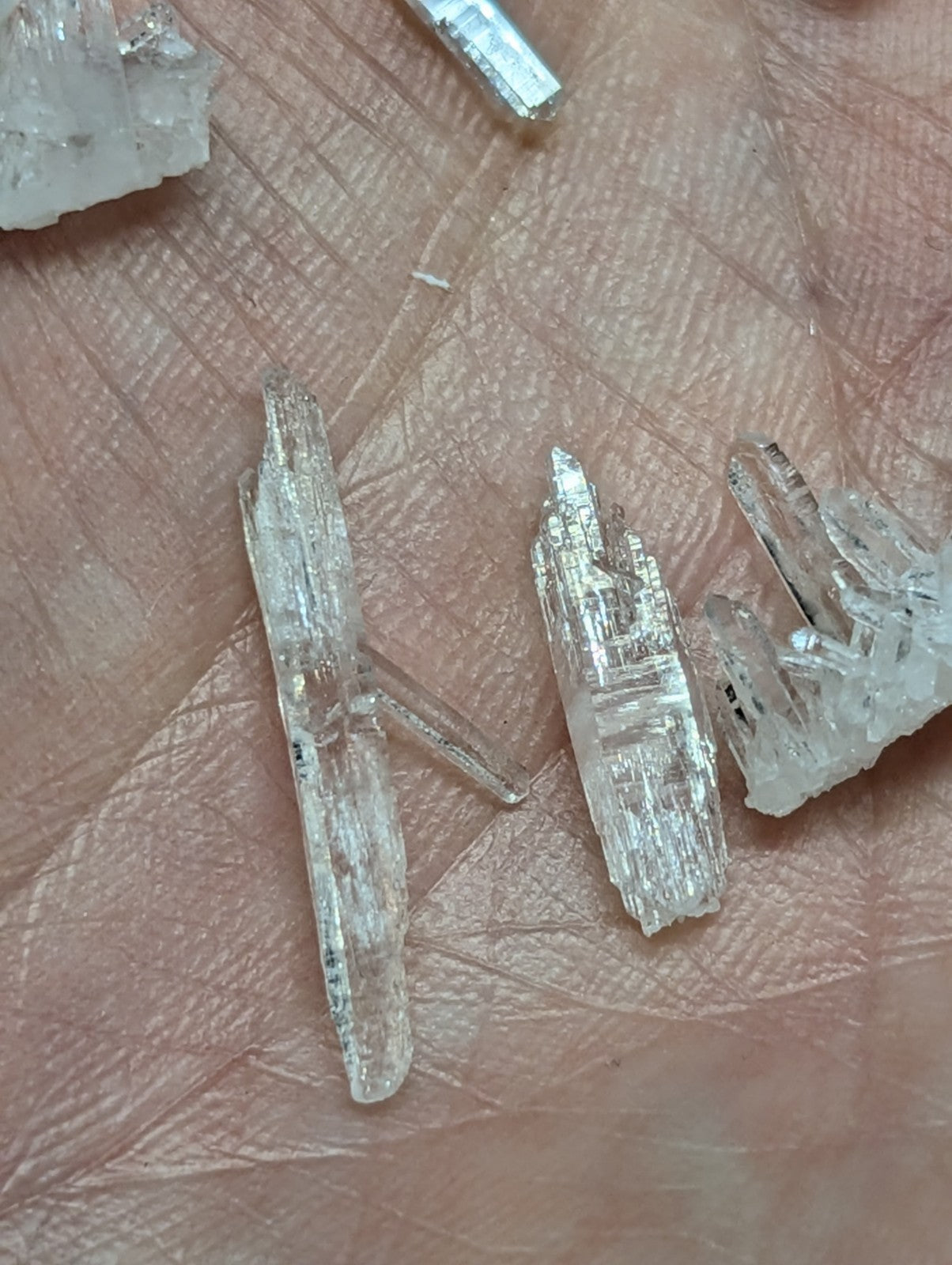 Clear, translucent quartz crystals with sharp edges and natural striations rest on a palm.