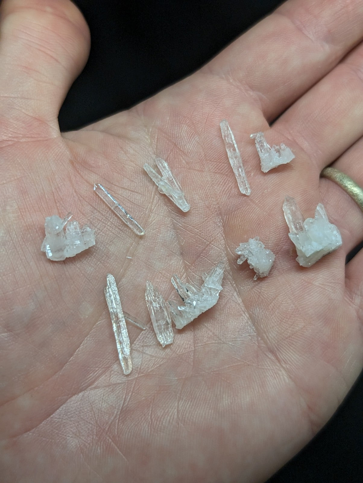 A hand holds a collection of translucent, clear quartz crystals with varying lengths and natural facets.
