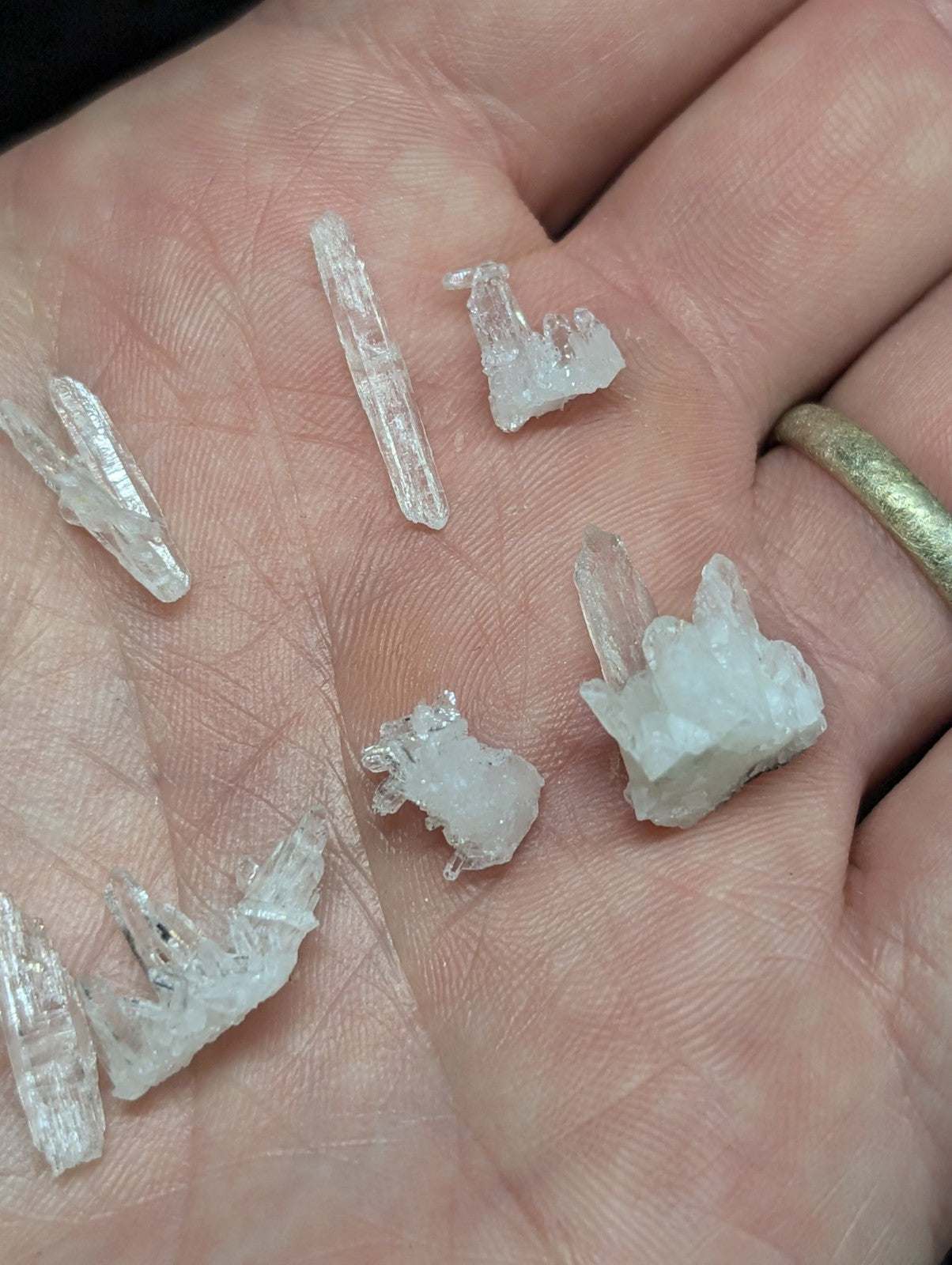 A hand holds several translucent white quartz crystals, some with pointed tips and others forming clustered formations.