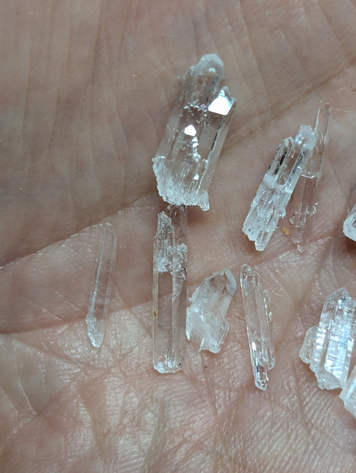 Clear quartz crystals with jagged, translucent edges and a natural, faceted appearance.