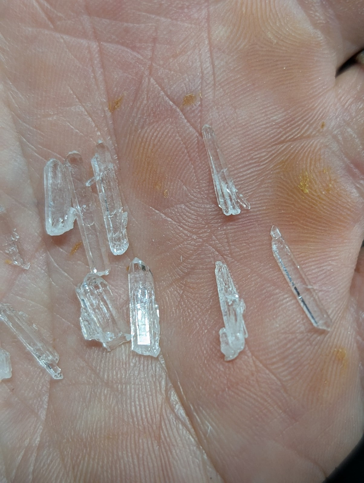 Clear, translucent crystal shards with jagged edges and varying lengths rest in an open palm.