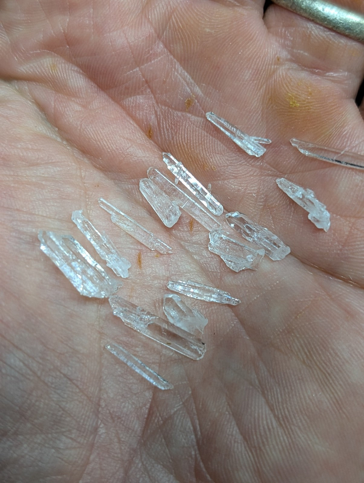 A hand holds a collection of clear, translucent quartz crystals with pointed tips and jagged edges.