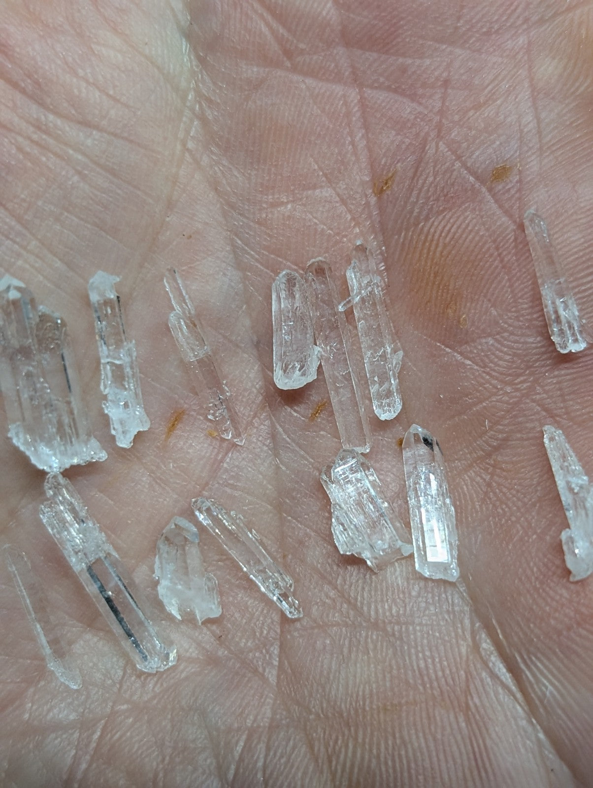 Clear, translucent quartz crystals with jagged edges and varying lengths rest in the palm.