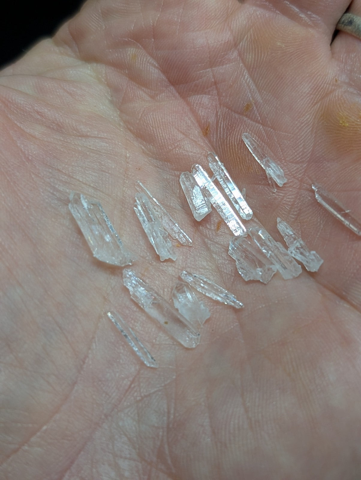 Clear, translucent crystal shards with jagged edges and varying lengths rest in an open palm.
