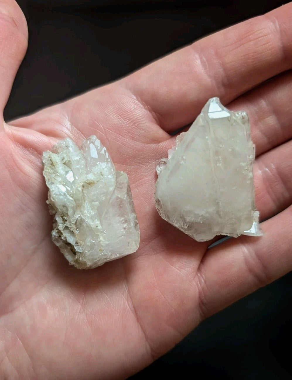 Two translucent white quartz crystal specimens with jagged, faceted surfaces held in an open palm.
