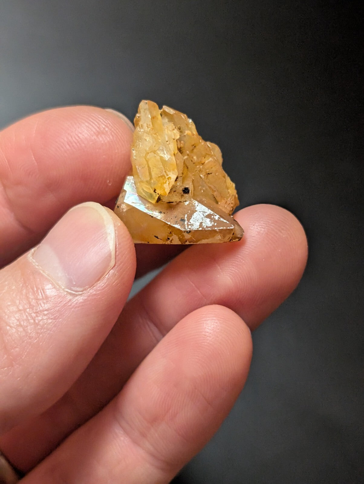 A translucent golden-yellow crystal cluster with sharp, faceted edges and a slightly rough texture.