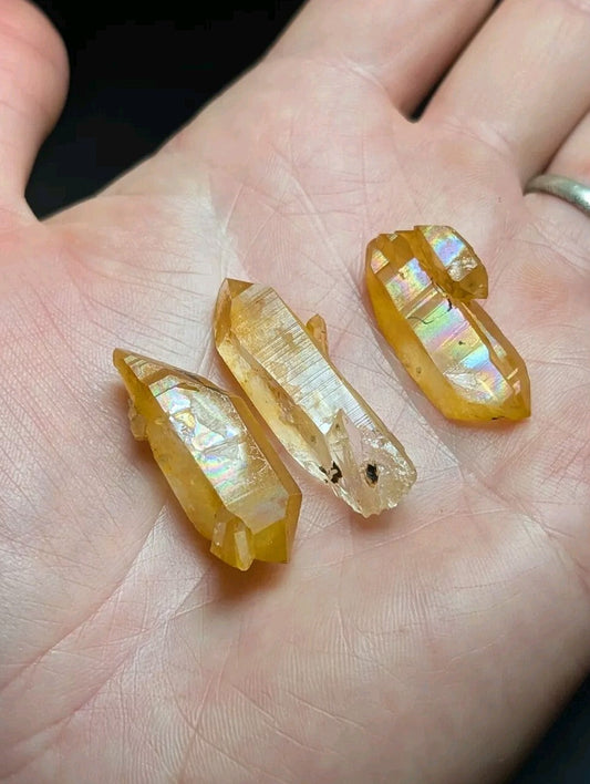 Three golden-yellow citrine crystals with iridescent facets rest in an open palm.