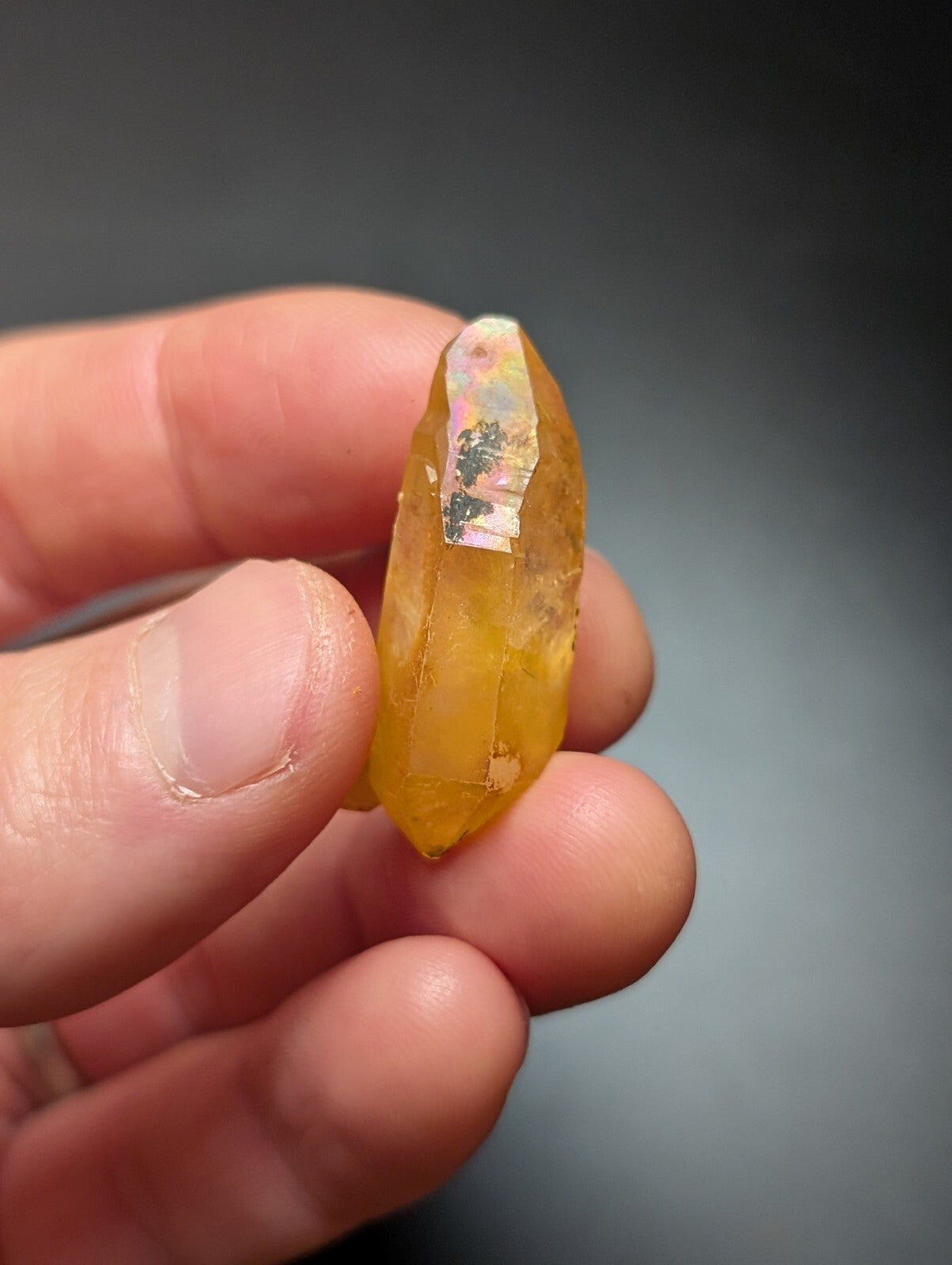 A translucent golden-yellow crystal with a pointed tip and iridescent, rainbow-hued facets.