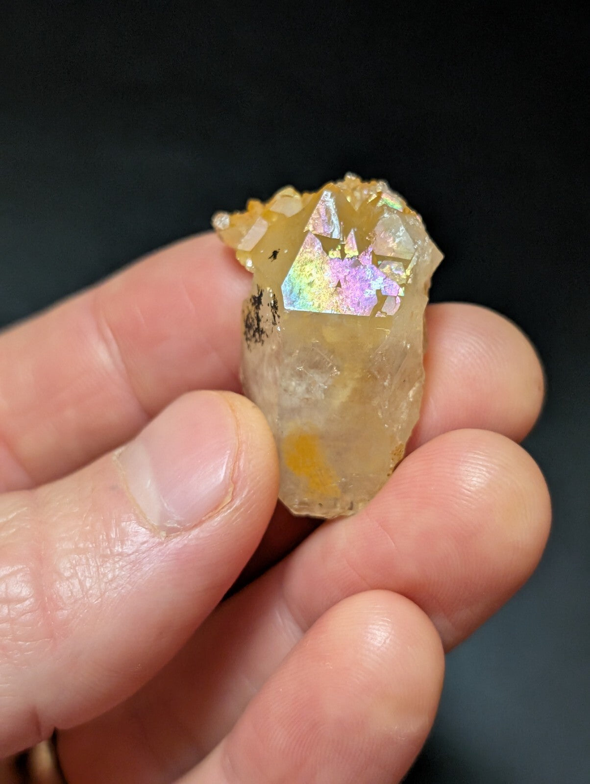 A translucent, golden-yellow crystal with a shimmering iridescent face held gently in someone’s hand.