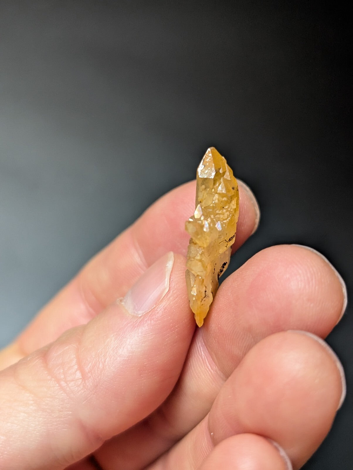 A translucent golden-yellow crystal with a pointed tip and faceted surface, held delicately between fingers.