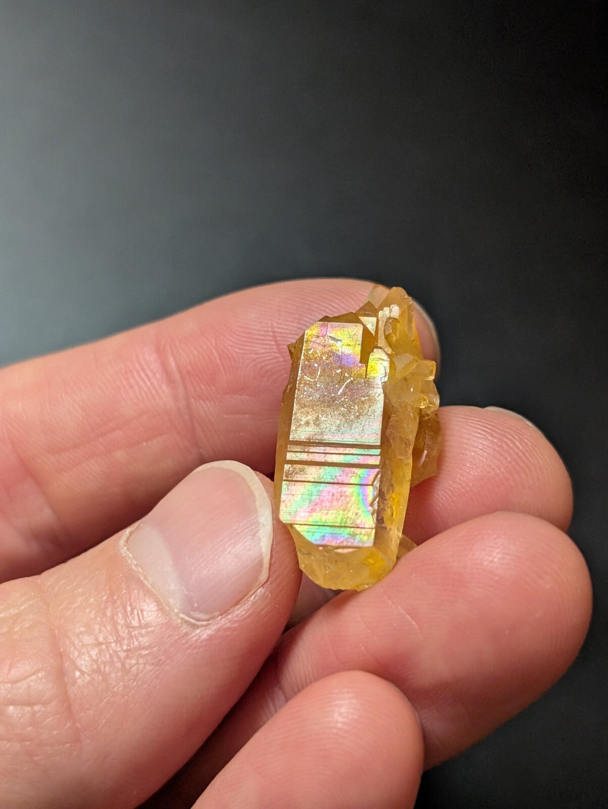 A golden-yellow citrine crystal with a faceted, translucent surface and iridescent rainbow reflections.