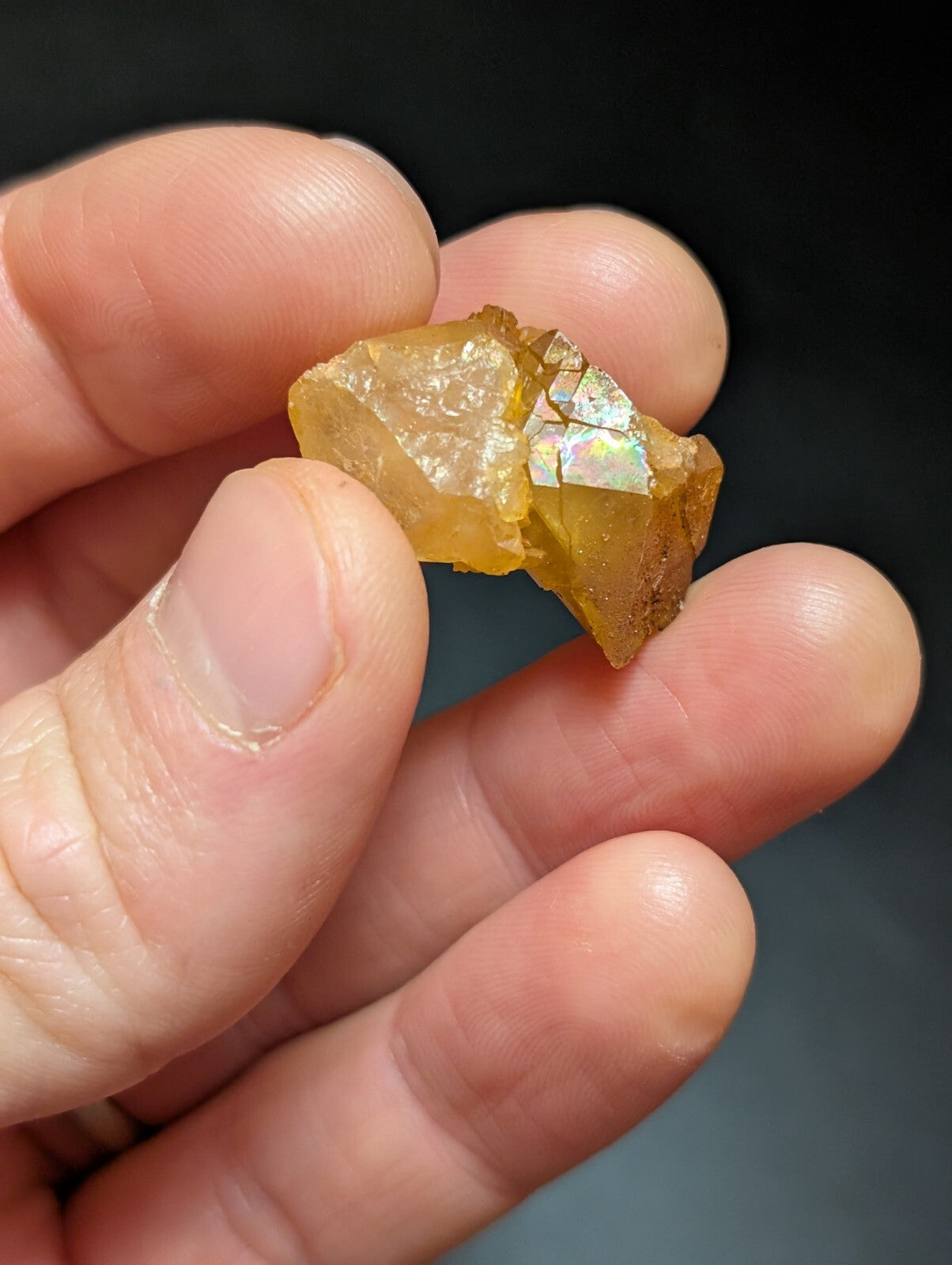 A translucent golden-yellow mineral specimen with iridescent facets, held delicately in a hand.