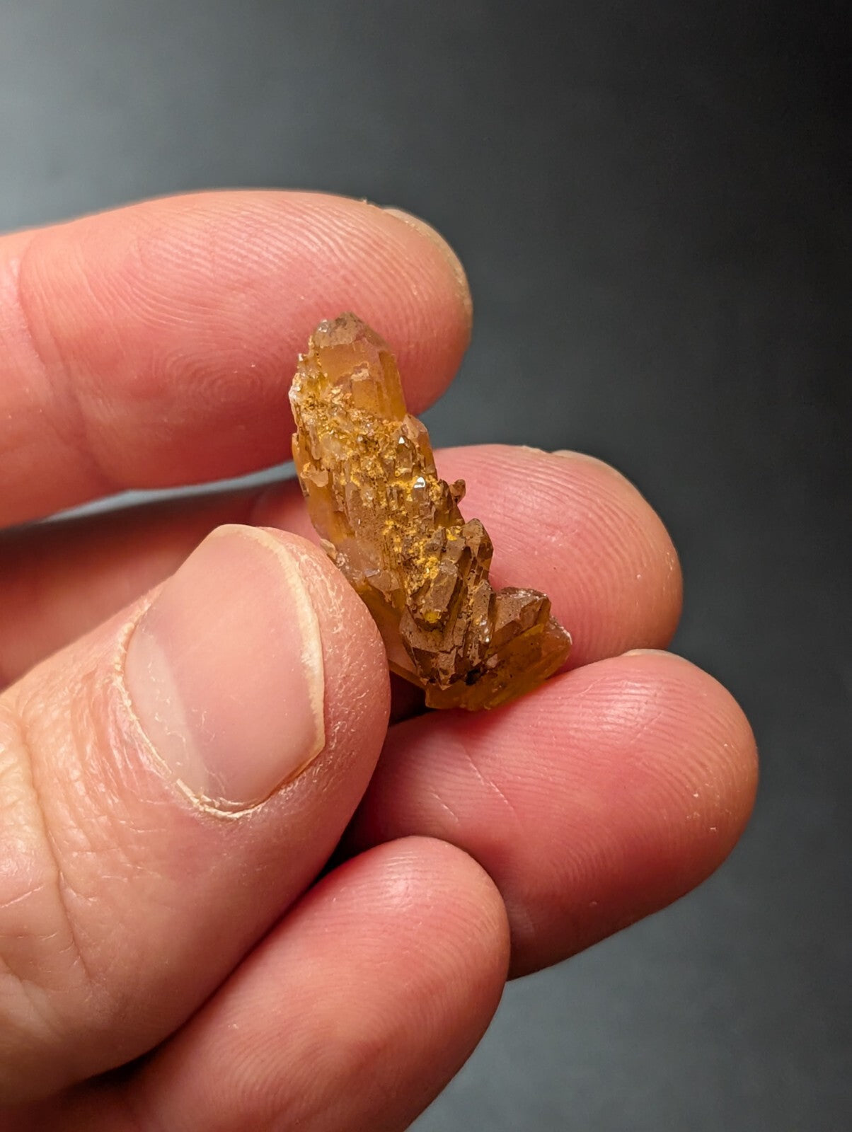 A translucent amber-colored crystal with golden inclusions, held gently between fingers.
