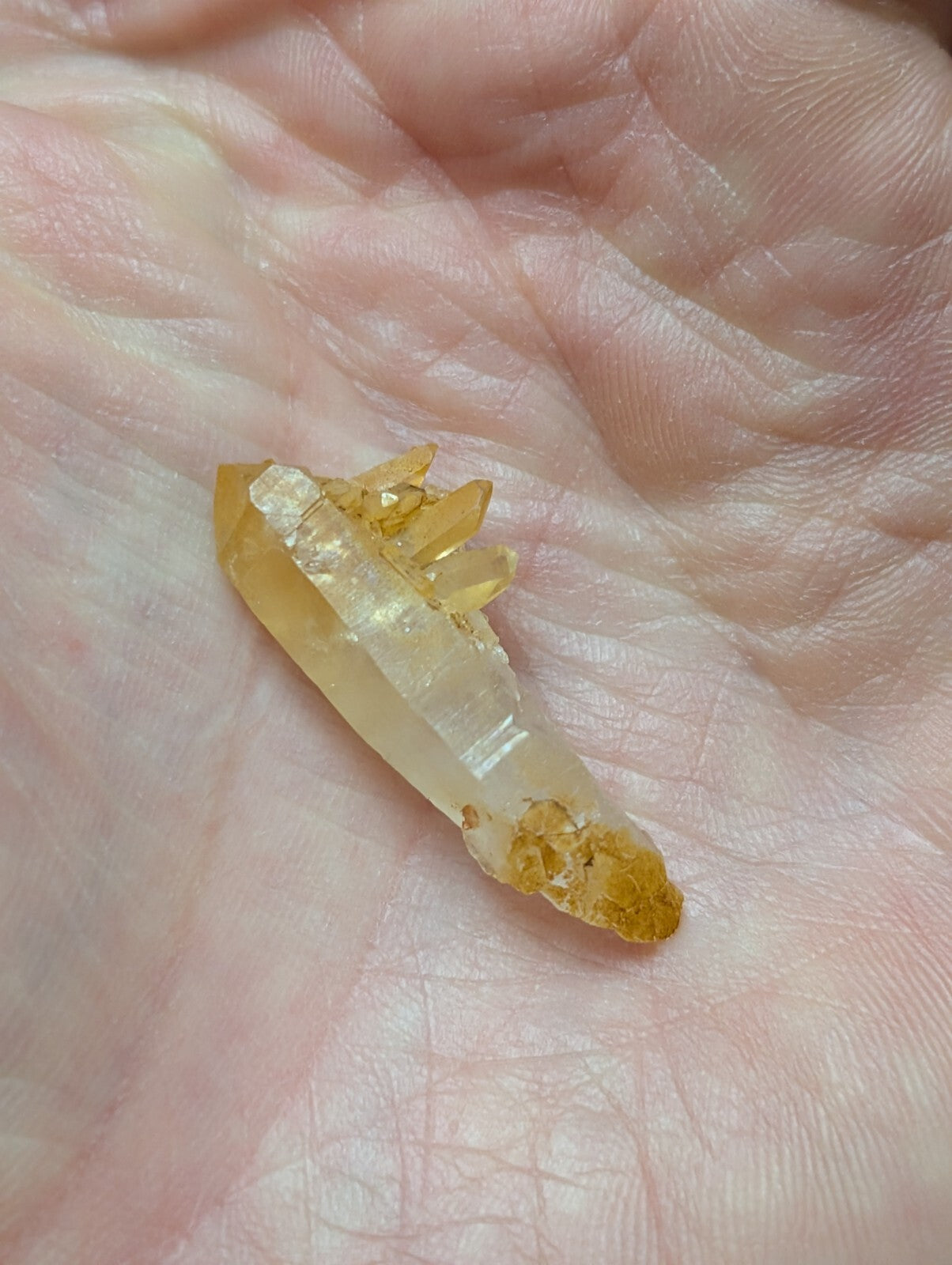 A translucent golden-yellow quartz crystal with a pointed tip and natural, jagged facets.