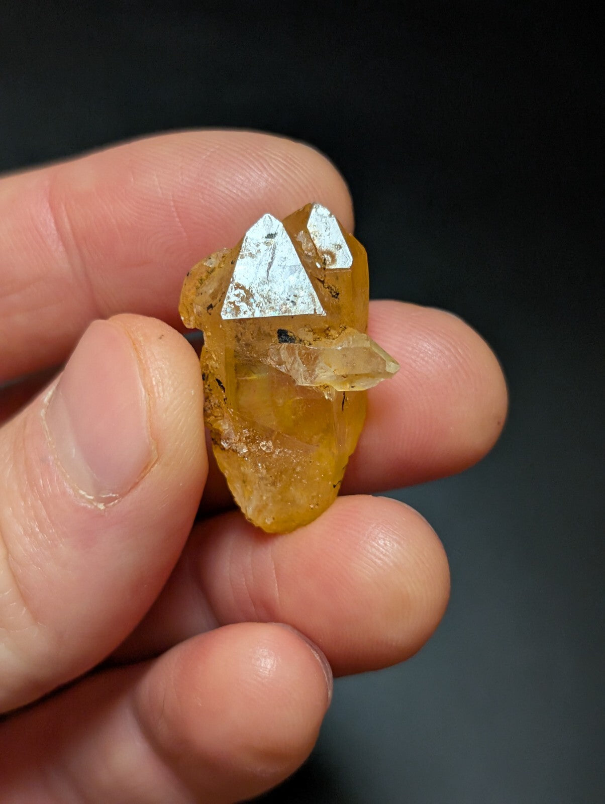 A translucent amber-colored mineral specimen with sharp, metallic silver crystals protruding from its surface.