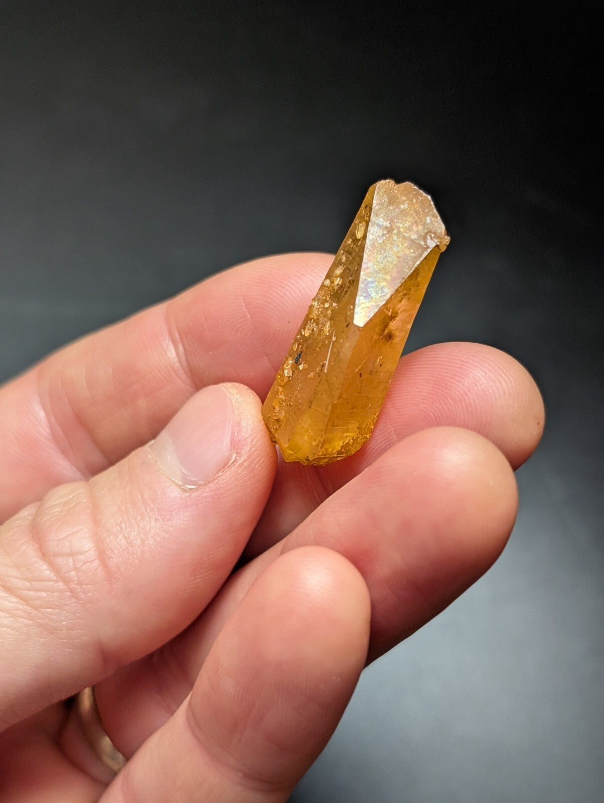 A translucent golden-yellow citrine crystal with a faceted, pointed tip and natural inclusions.
