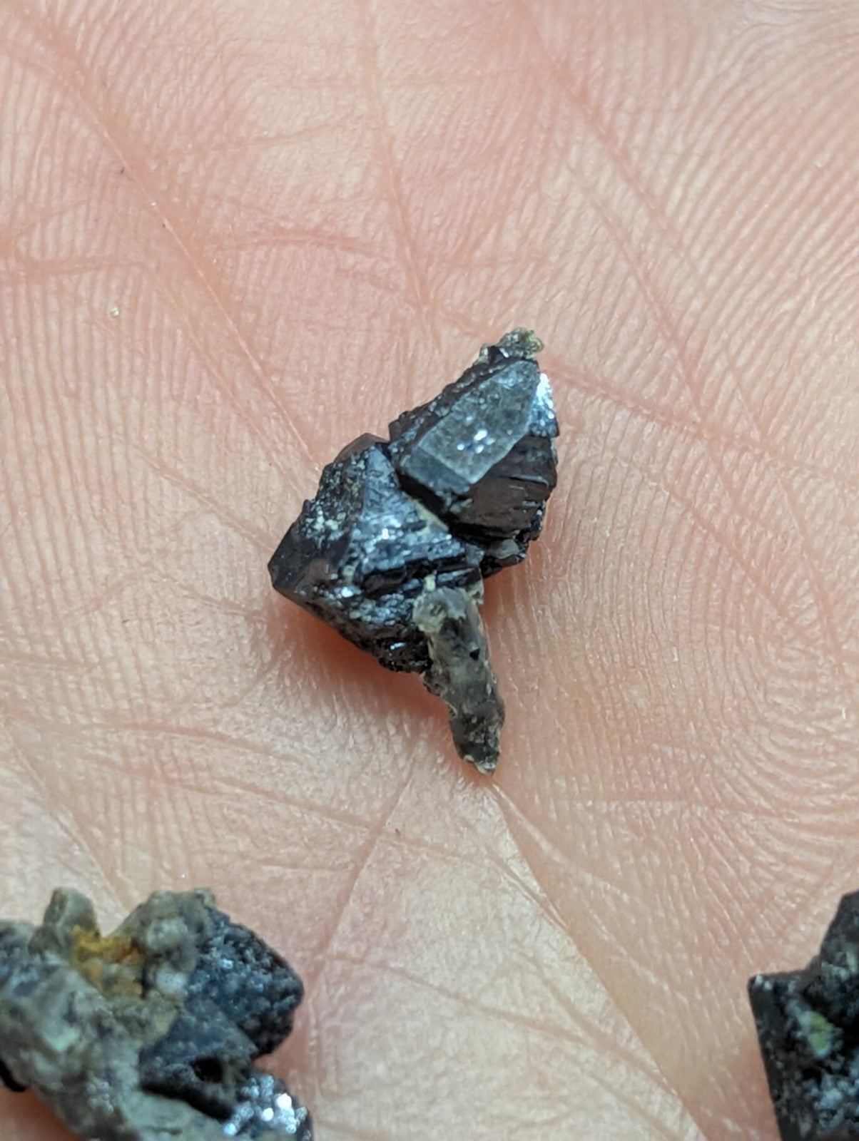 A dark, jagged mineral specimen with a metallic sheen and rough texture rests on the palm.