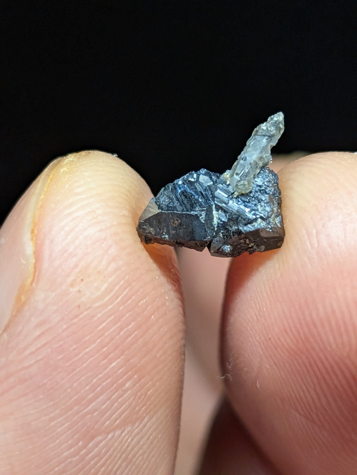 A dark, rough-textured mineral specimen with a translucent, light-colored crystal protruding from its surface.