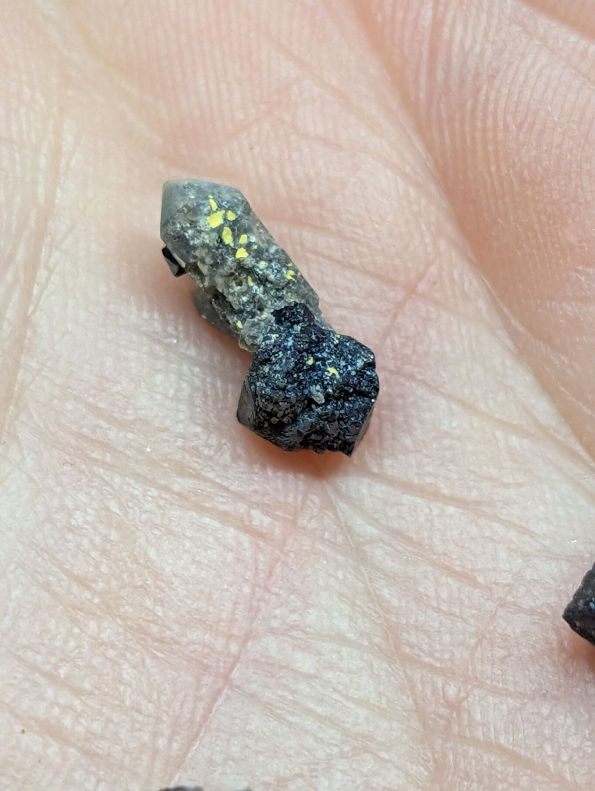 A small, irregularly shaped mineral specimen with a dark gray and black base, speckled with bright yellow flecks.