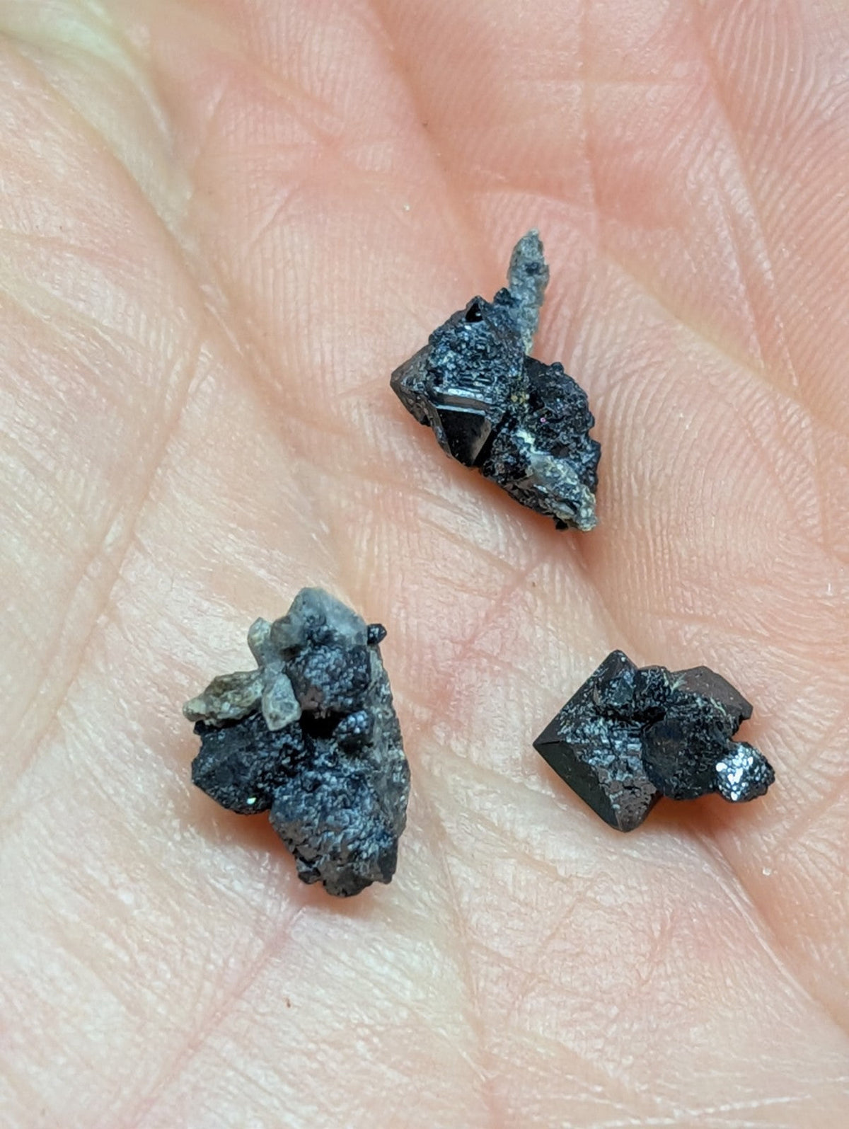 Three dark, jagged mineral specimens with metallic sheen rest in the palm of a hand.
