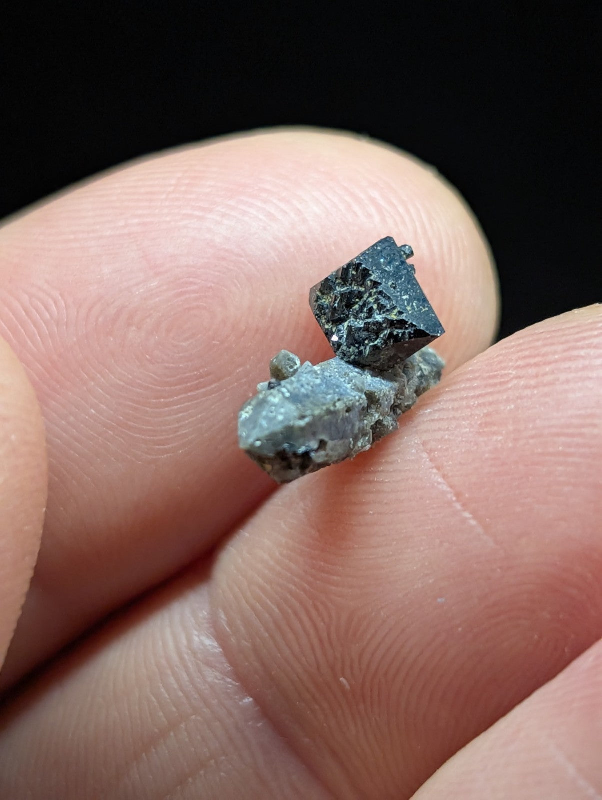 A dark, faceted mineral specimen with a rougher base matrix held delicately between fingers.