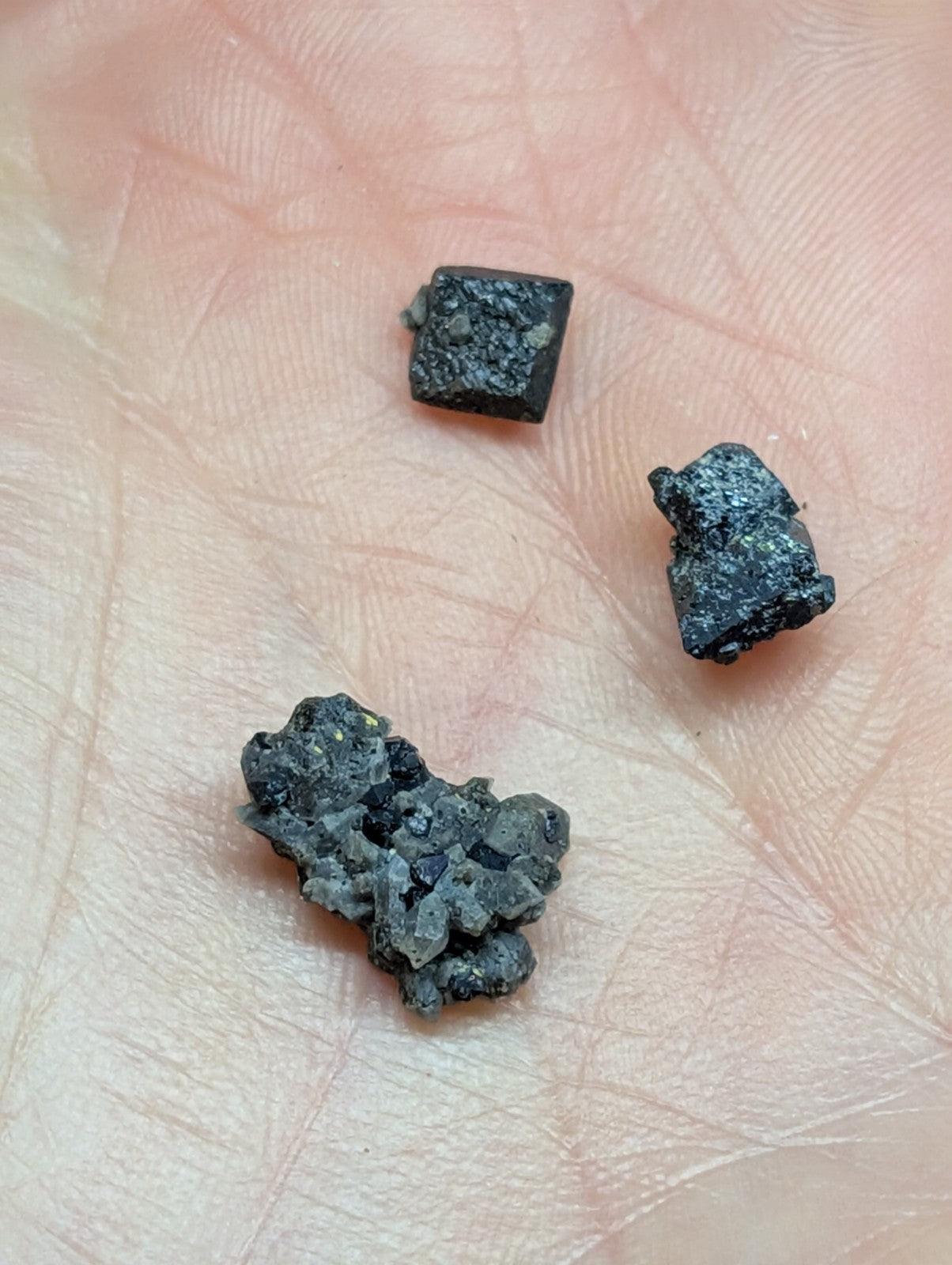 Three irregularly shaped, dark gray to black mineral fragments with rough, textured surfaces rest in the palm of a hand.