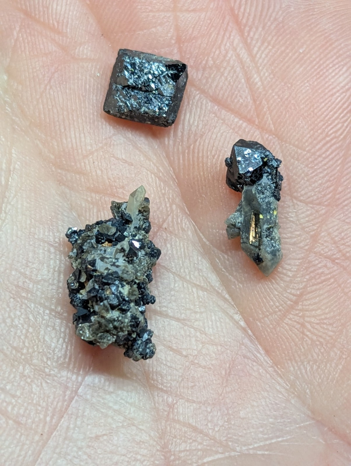 Dark, rough-textured mineral specimens with metallic sheen and crystalline formations rest in the palm.