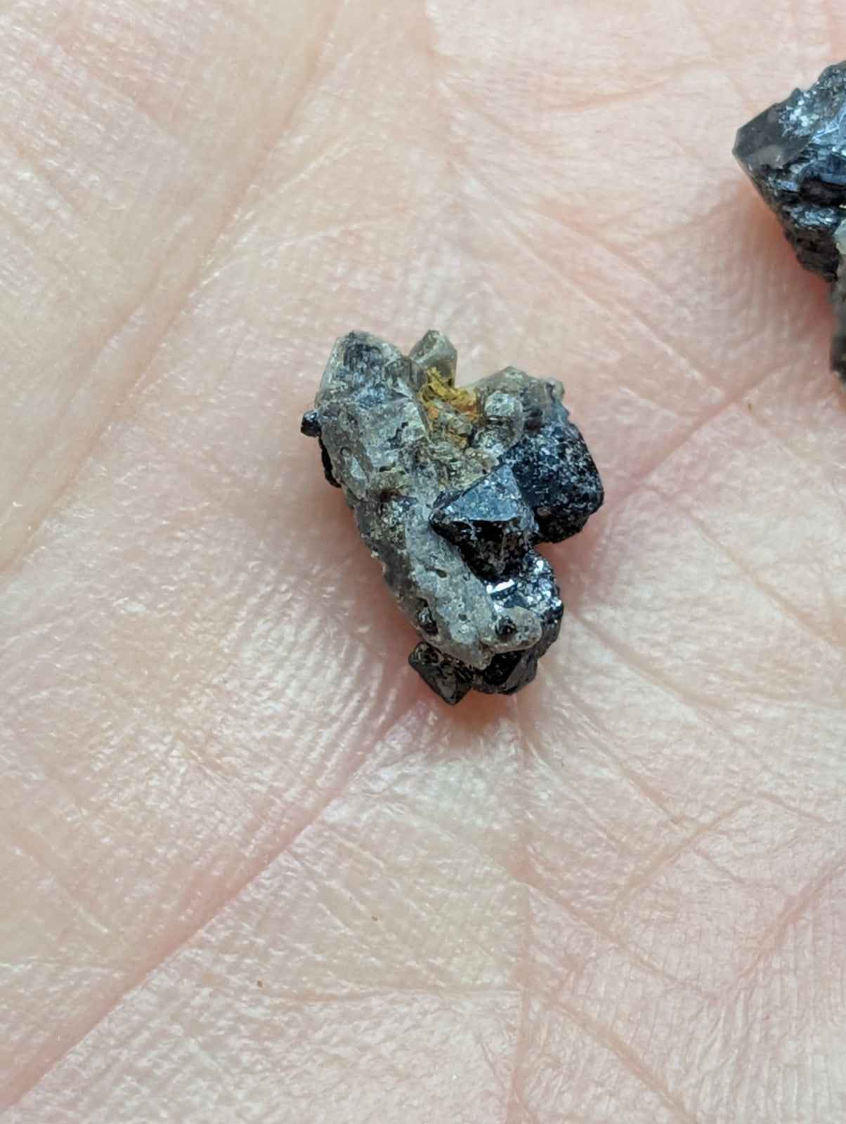 A small, irregularly shaped mineral specimen with a dark gray and black surface accented by patches of yellowish ore.