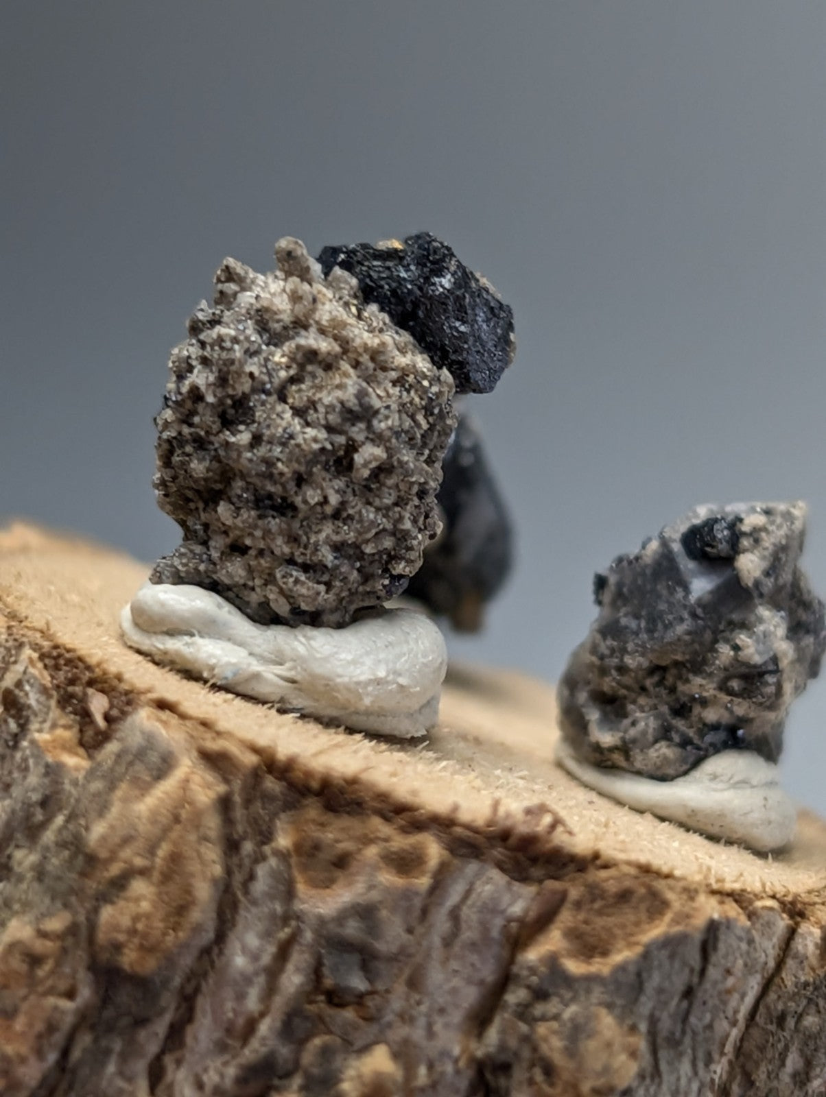 Set of 3 brookite and smoky quartz mineral specimens in gray and black with rough textured surfaces on white clay bases on wood slice