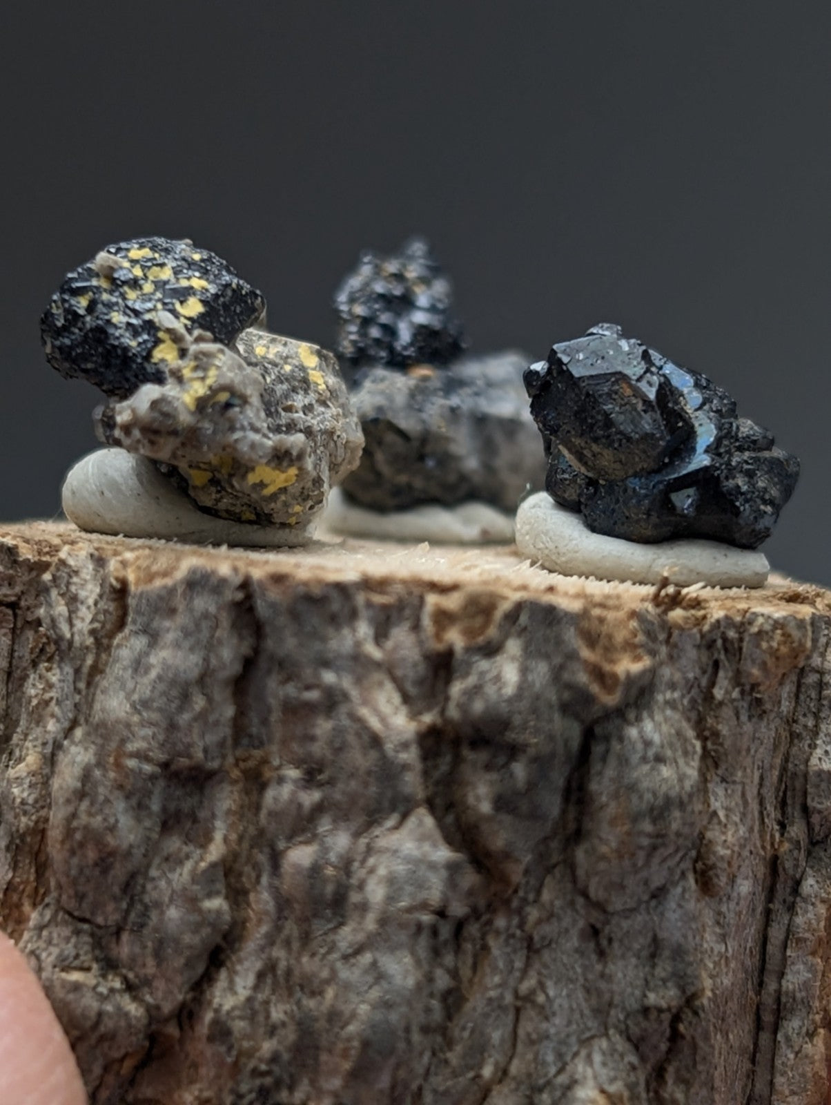 Set of 3 brookite and smoky quartz mineral specimens in black and yellow crystalline textures on rustic wood stand