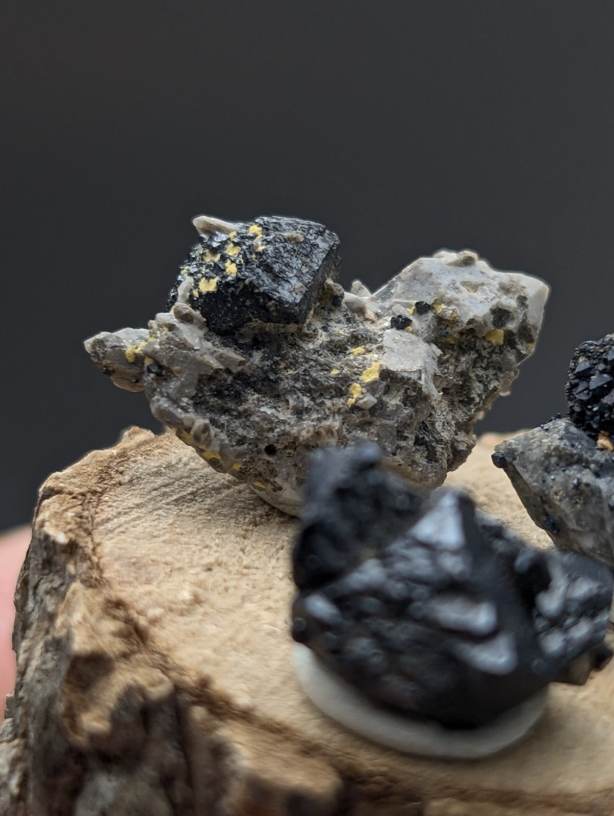 Set of 3 brookite and smoky quartz specimens with black and yellow minerals on gray rock from magnet cove arkansas with wood stand
