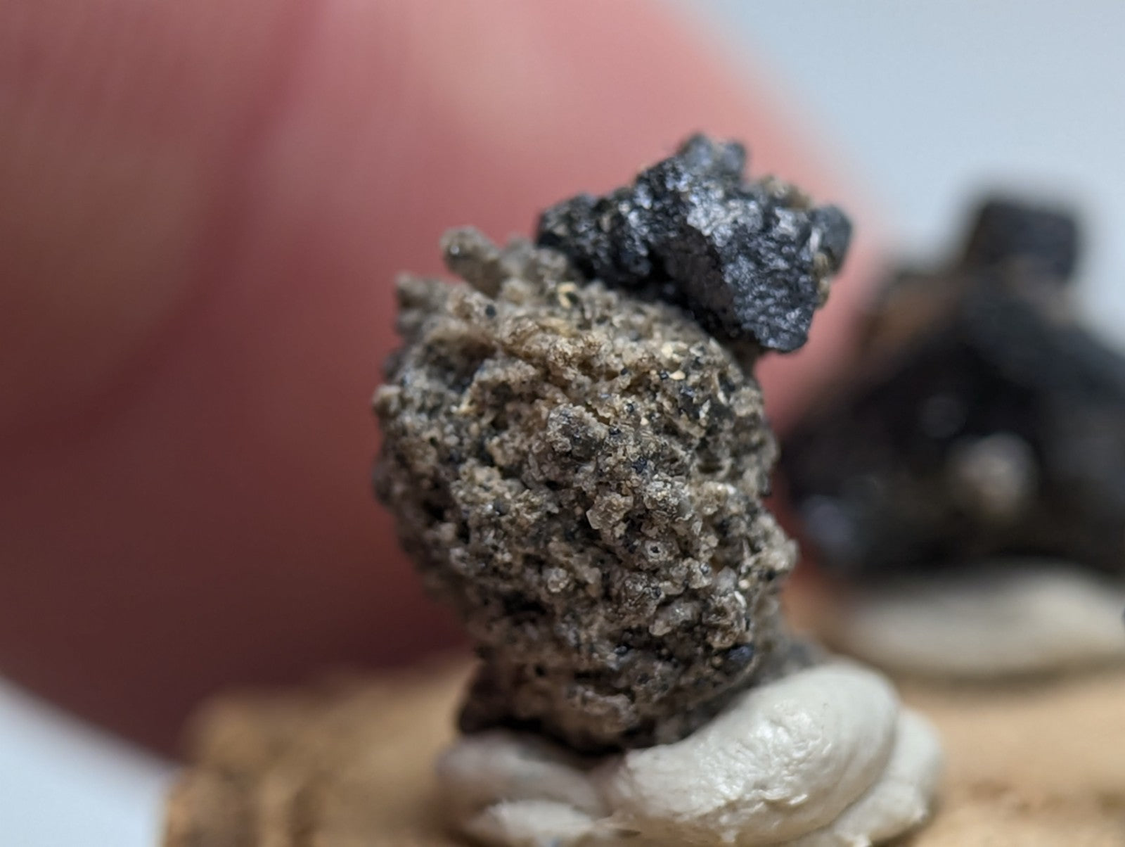 A rough grayish mineral specimen with a dark jagged brookite inclusion on smoky quartz from magnet cove arkansas on a wood stand