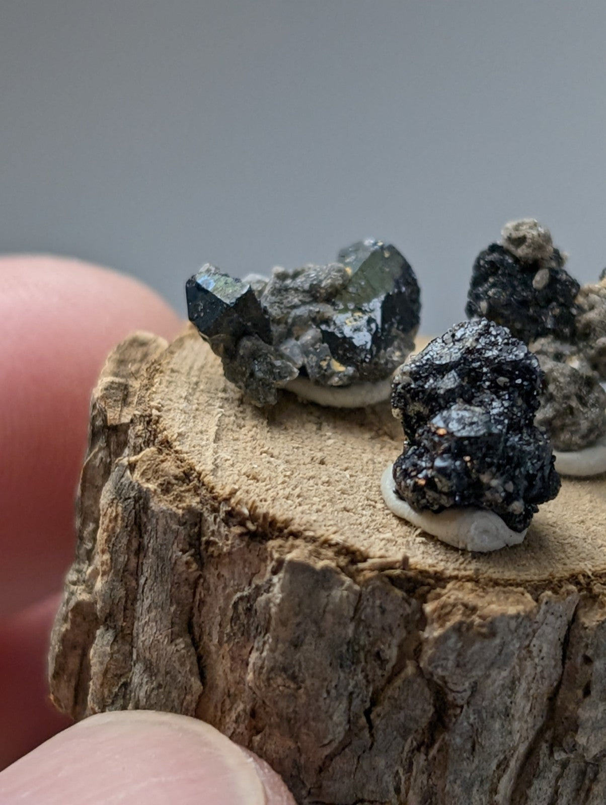 Set of 3 dark metallic brookite and smoky quartz mineral specimens with crystalline facets on a rustic wood stand