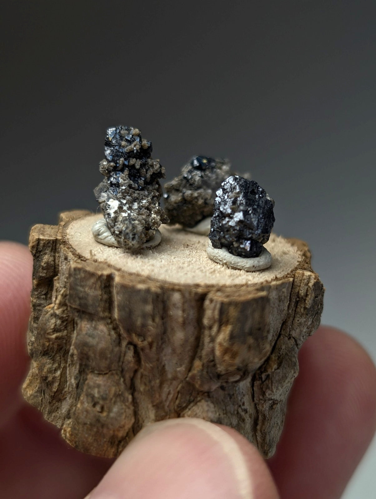A rustic wooden slice displaying three small dark metallic brookite and smoky quartz mineral specimens from Arkansas