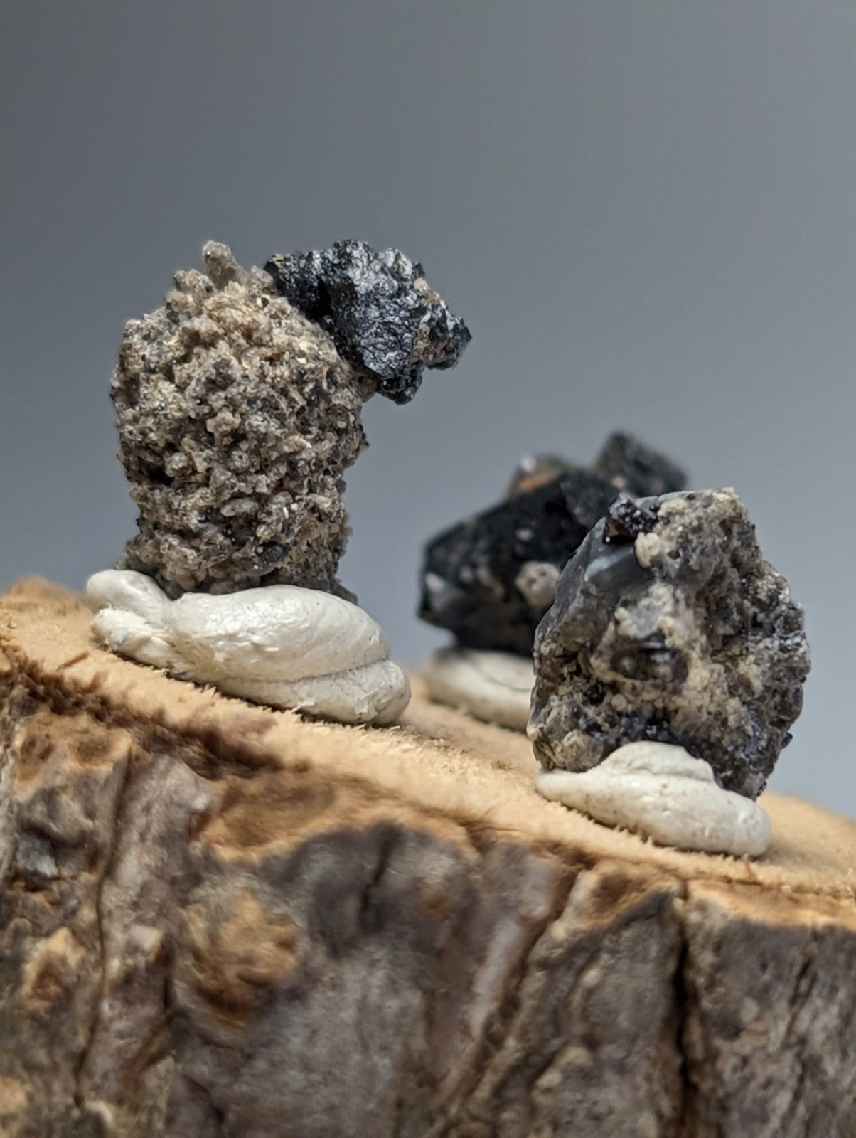 Set of 3 brookite and smoky quartz mineral specimens with dark gray crystals on natural wood slice from magnet cove arkansas