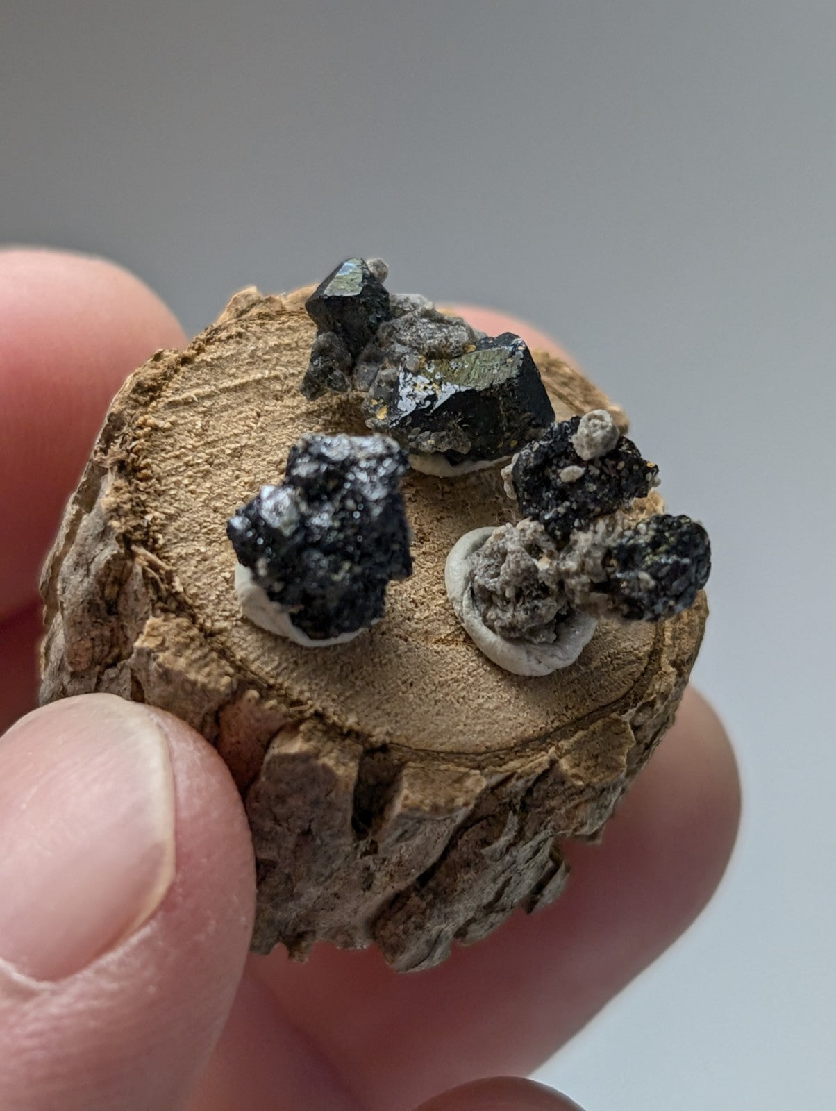 A rustic circular wooden slice featuring dark glossy brookite mineral crystals with white matrix accents from Arkansas