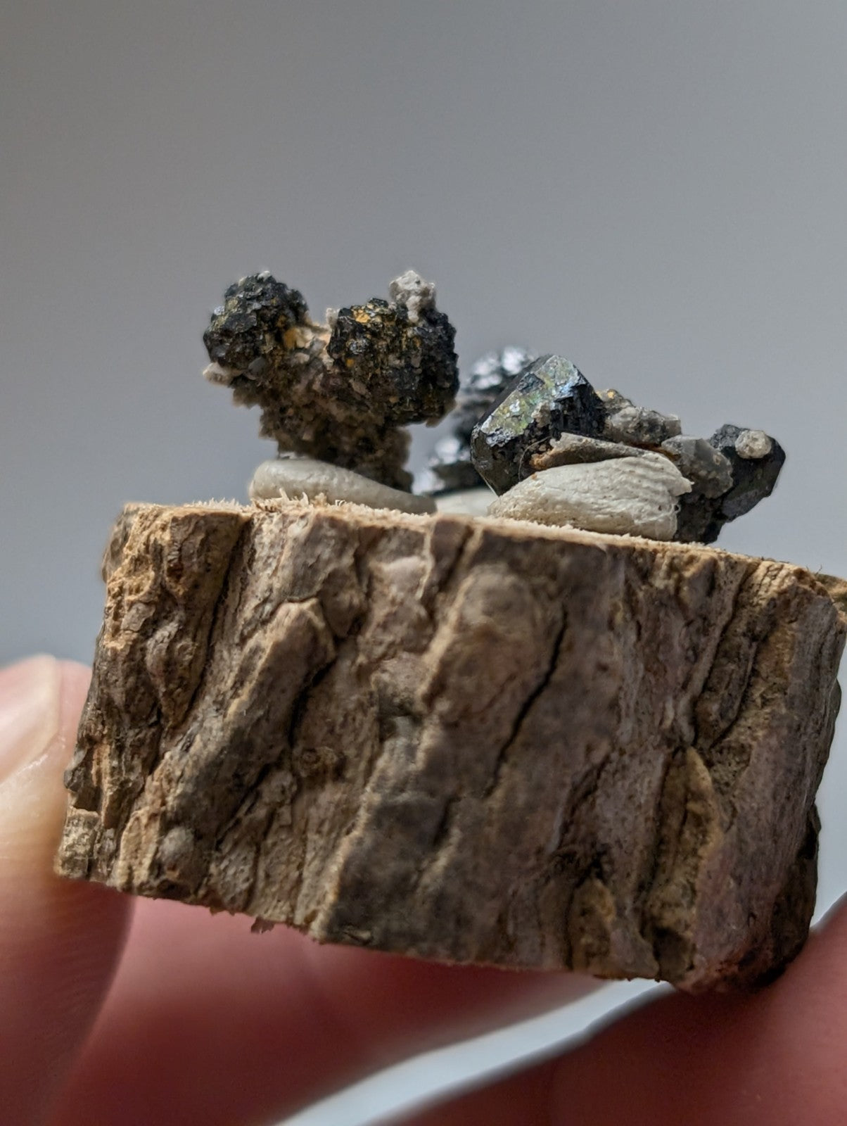 A rustic wooden slice displaying dark metallic brookite and smoky quartz mineral specimens with reflective surfaces