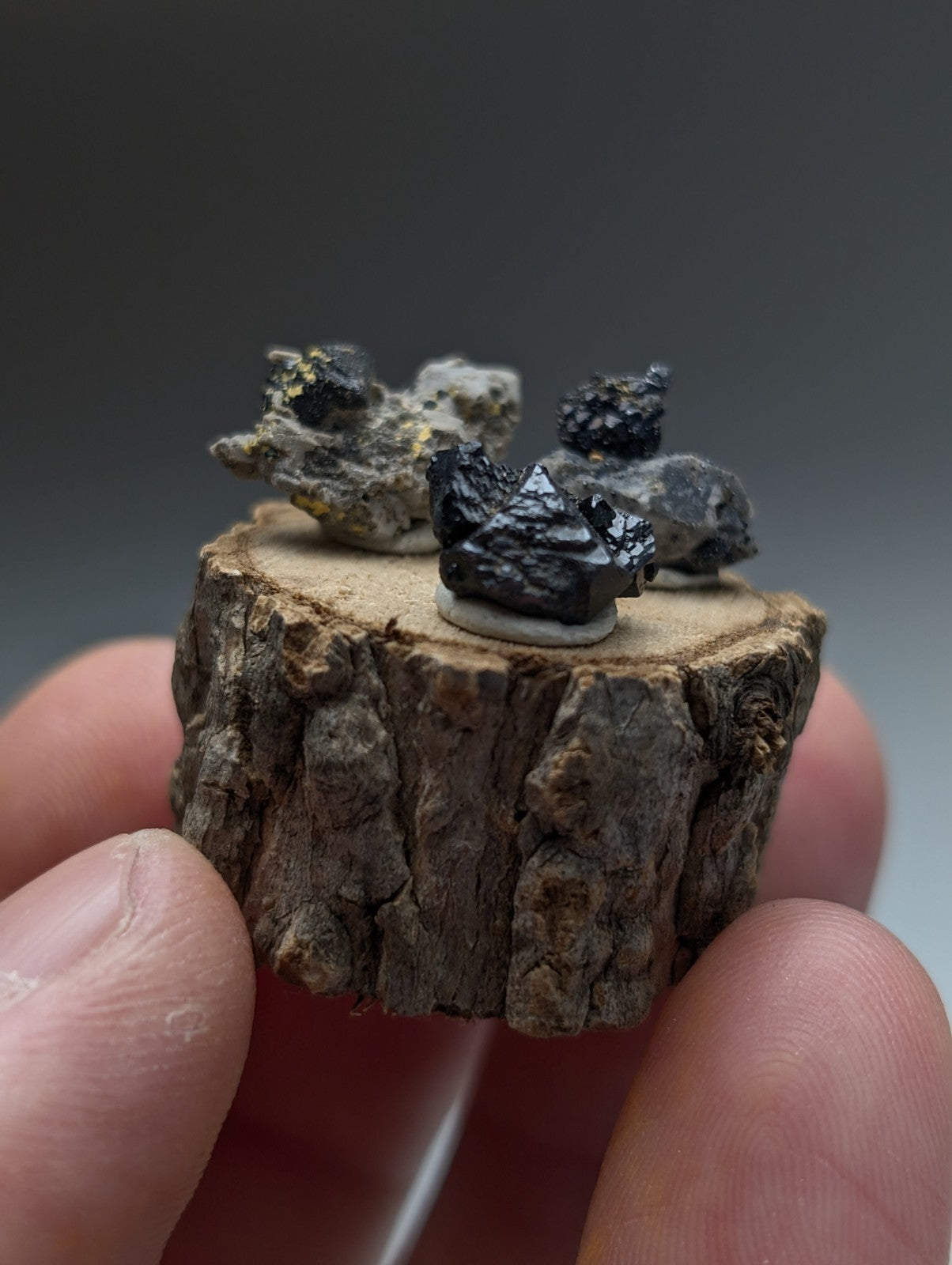 Dark glossy brookite and smoky quartz mineral specimens on a rustic wooden slice with wood stand from magnet cove arkansas