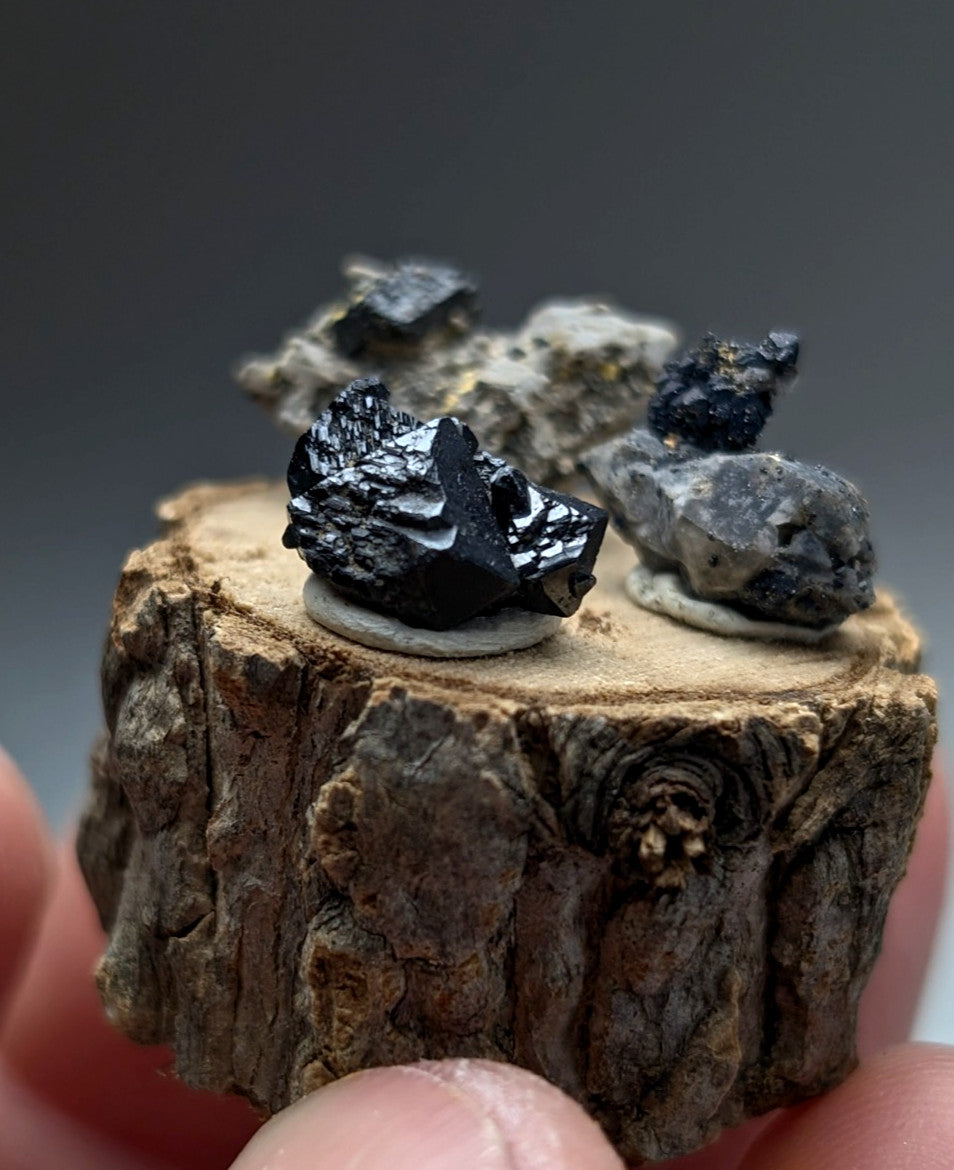 Black glossy brookite and smoky quartz mineral specimens with jagged edges on rustic wooden slice display stand