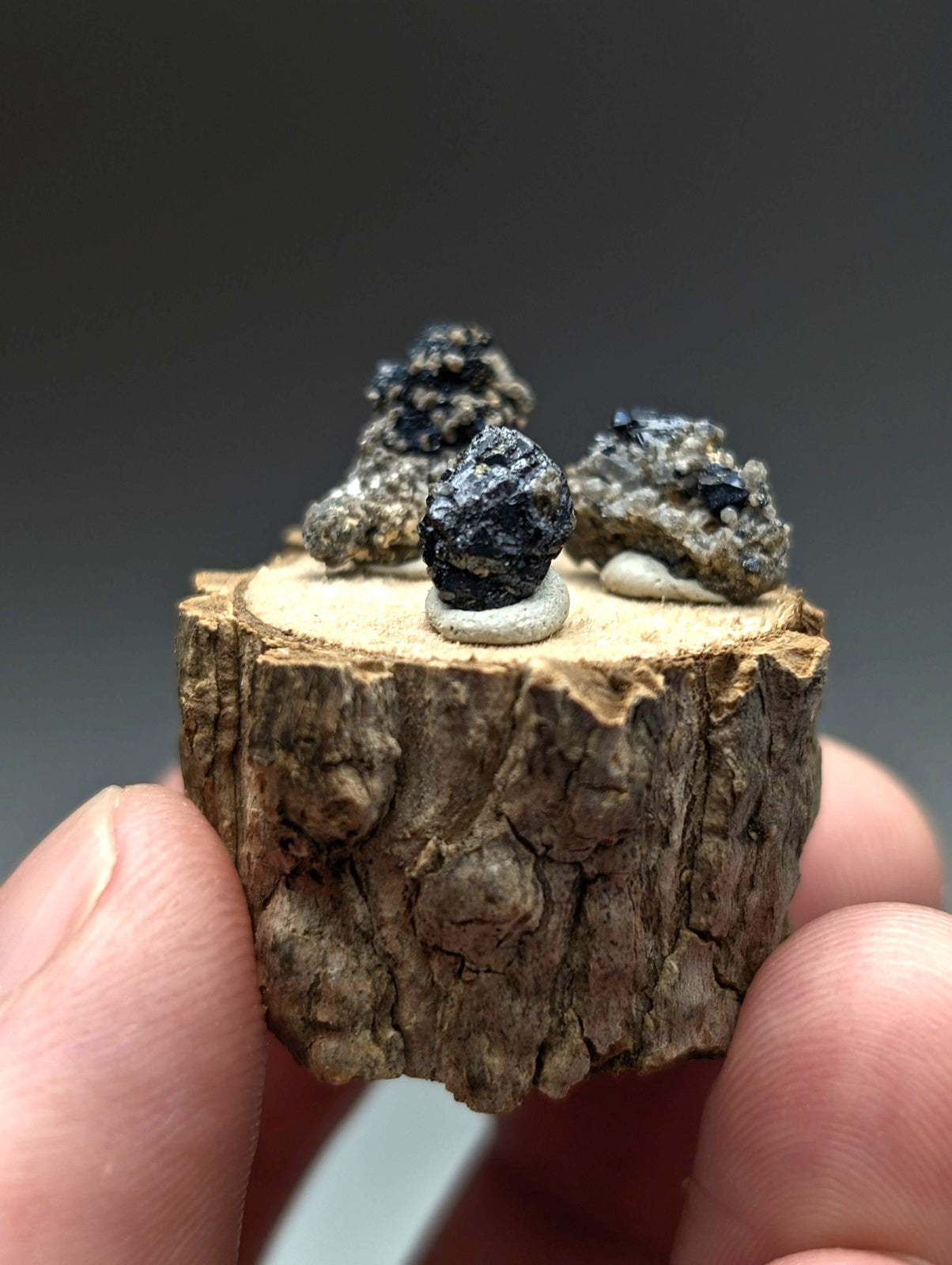 A rustic wooden slice displaying three dark metallic brookite and smoky quartz mineral specimens from magnet cove arkansas