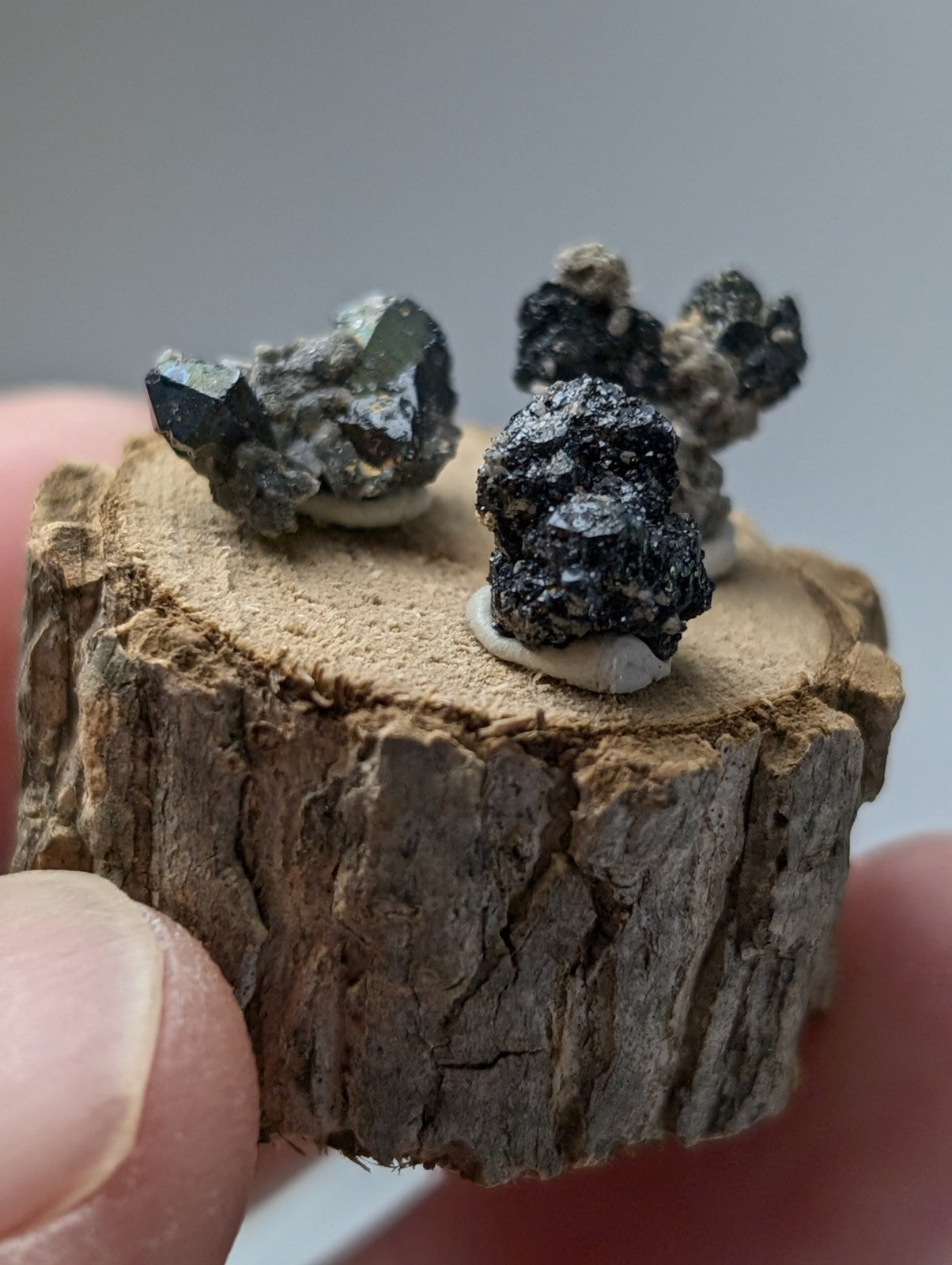 A rustic wooden slice displaying three dark metallic brookite and smoky quartz mineral specimens with reflective facets