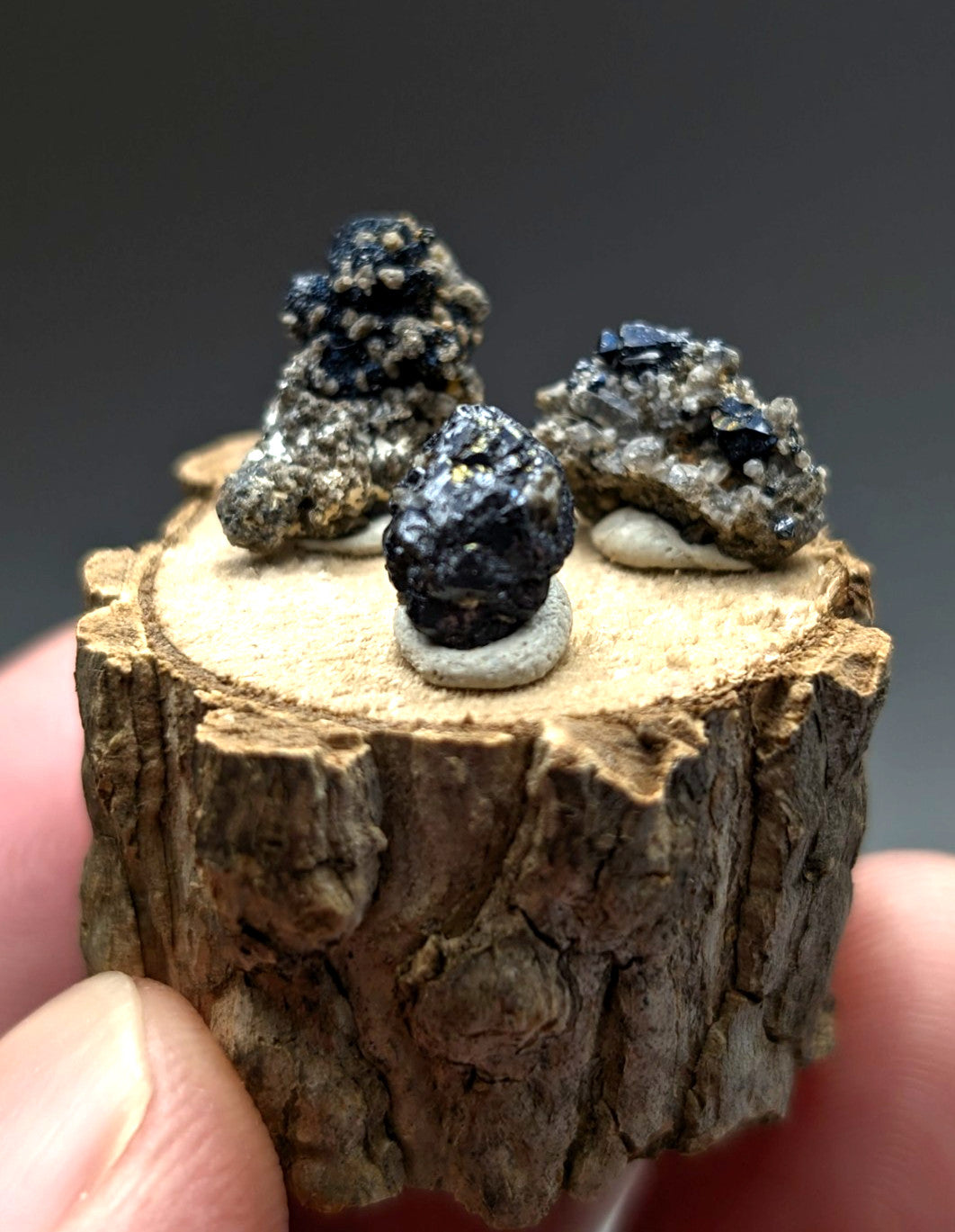 Three dark rough-textured brookite and smoky quartz mineral specimens with metallic sheen on a wooden slice stand