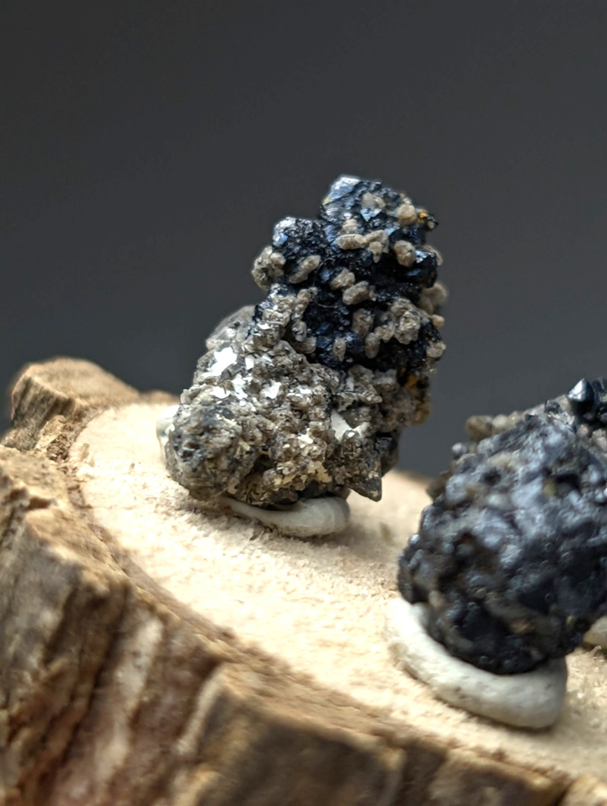 Set of 3 brookite and smoky quartz mineral specimens with black and gray rough surfaces on white ceramic bases on wood slice