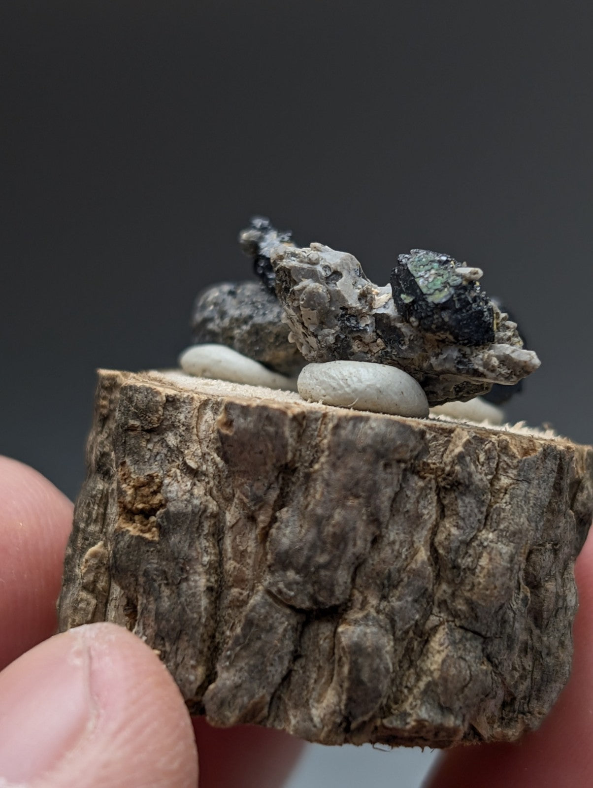 A rustic wooden slice displaying a set of 3 brookite and smoky quartz minerals with smooth white pebbles on a wood stand